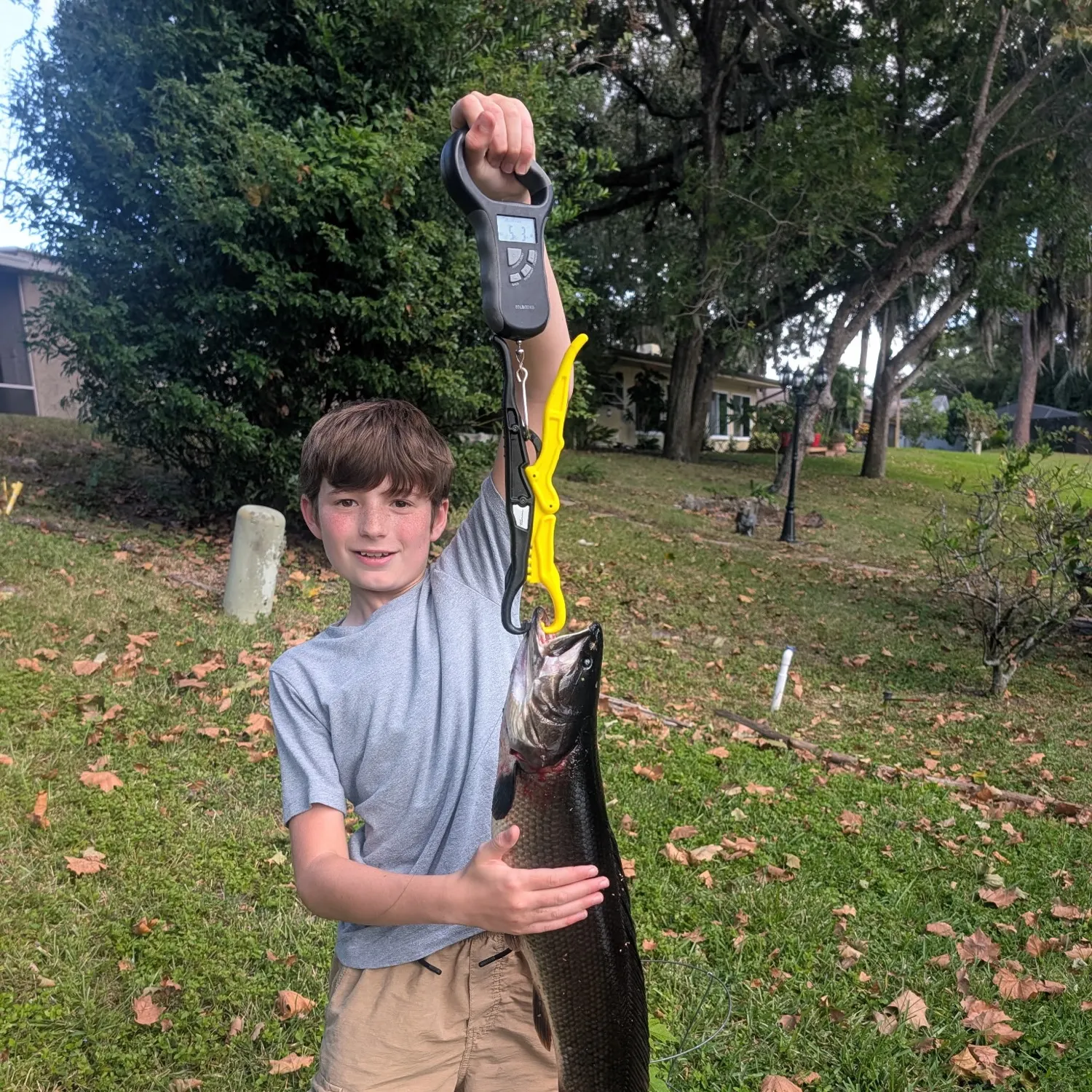 The most recent Ruddy bowfin catches on Fishbrain
