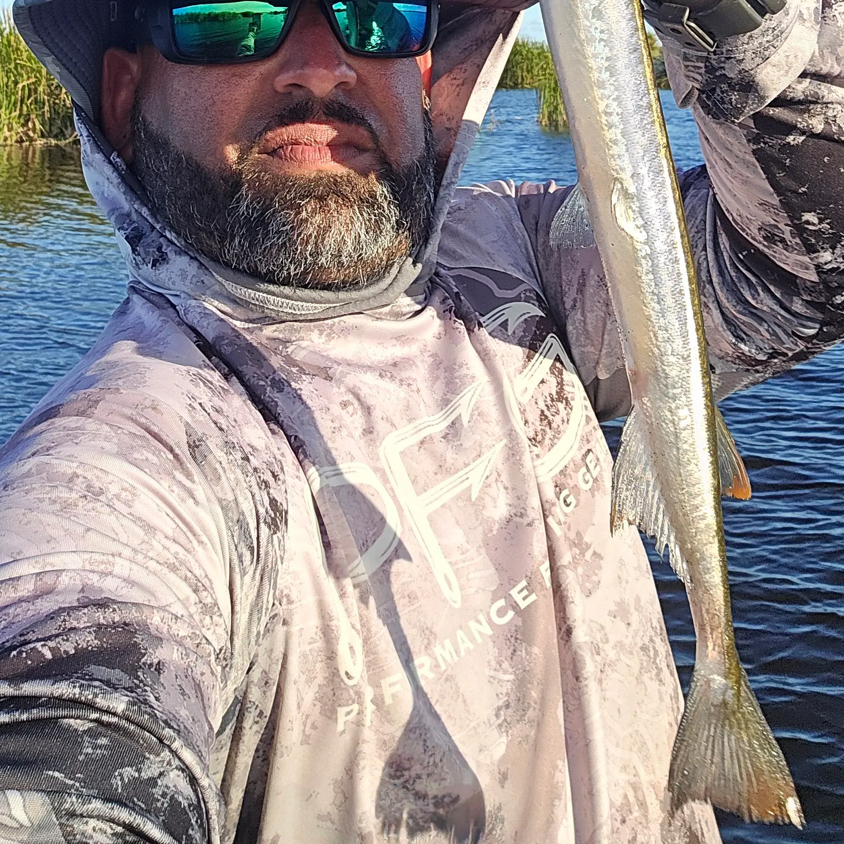 The most recent Redfin needlefish catches on Fishbrain