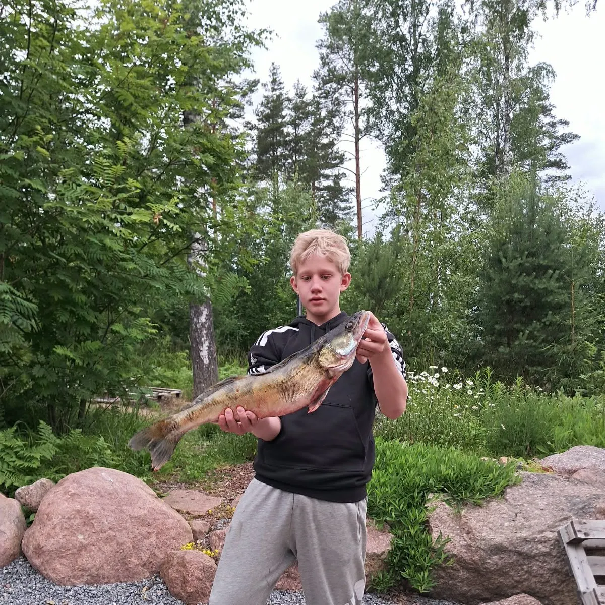 Zander caught on Fishbrain