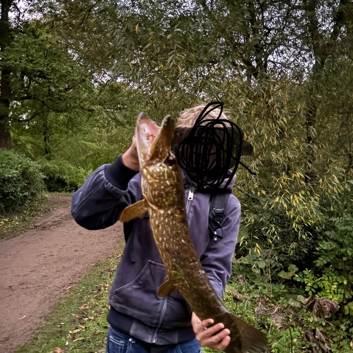 Northern pike caught on Fishbrain