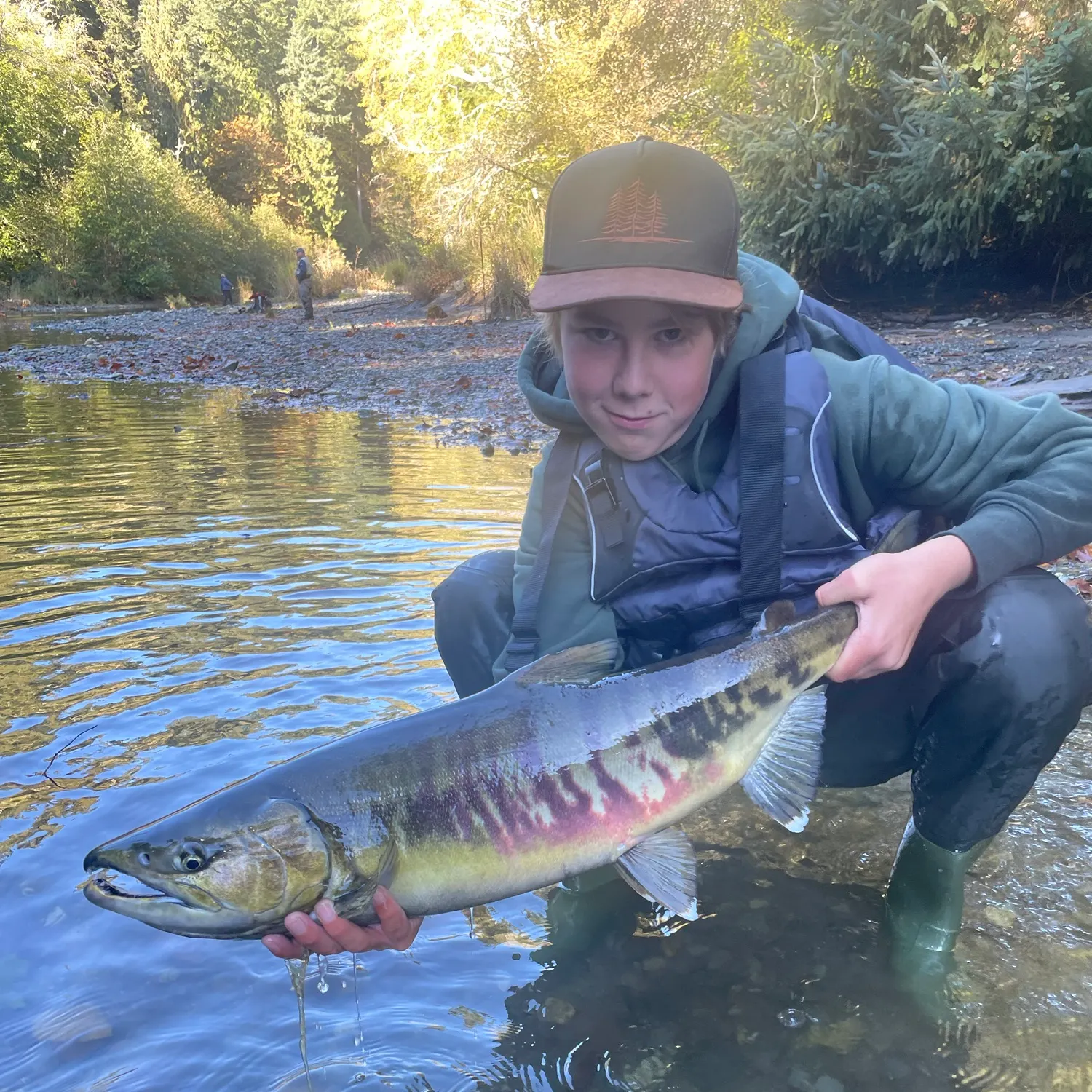 Chum salmon caught on Fishbrain