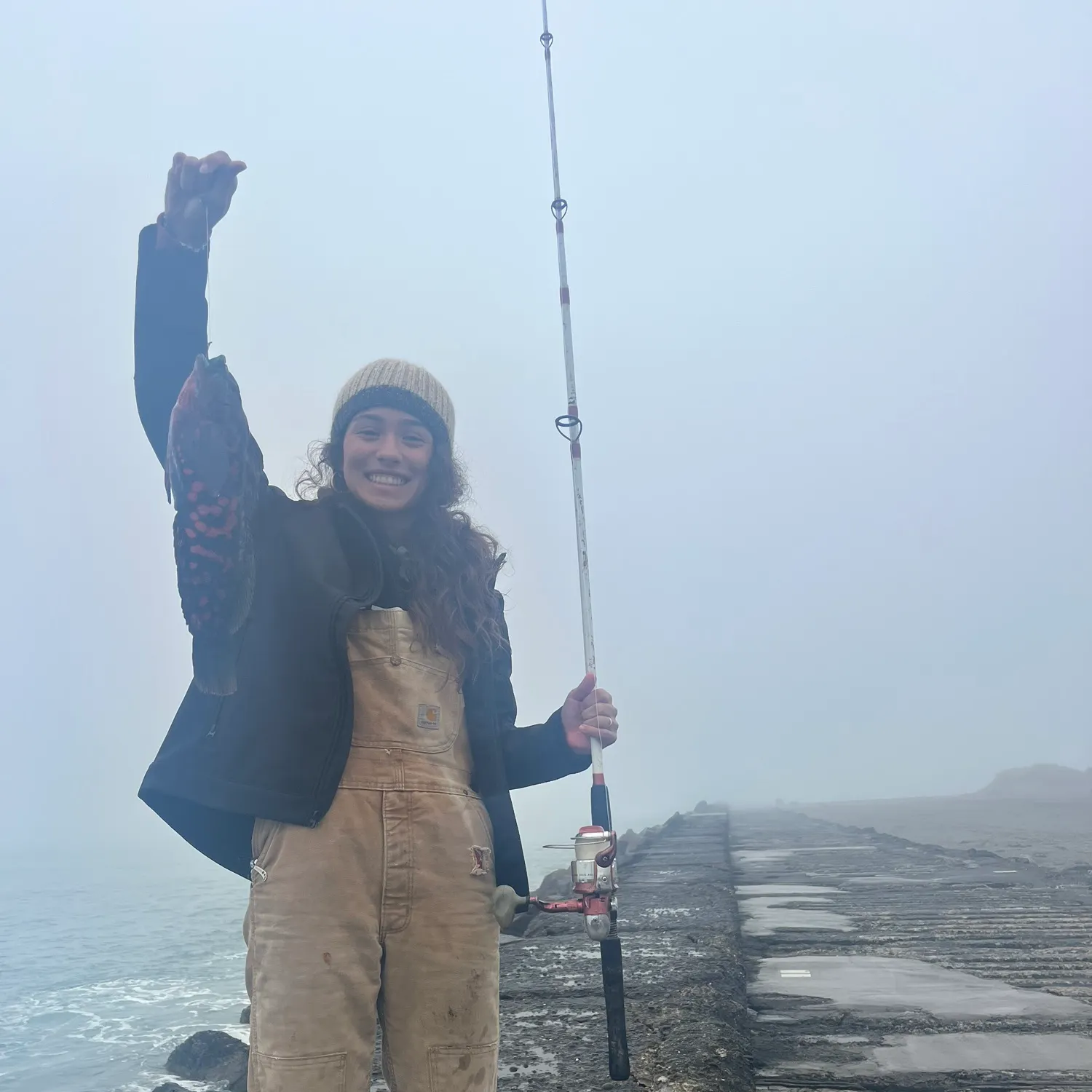 The most recent Rock greenling catches on Fishbrain