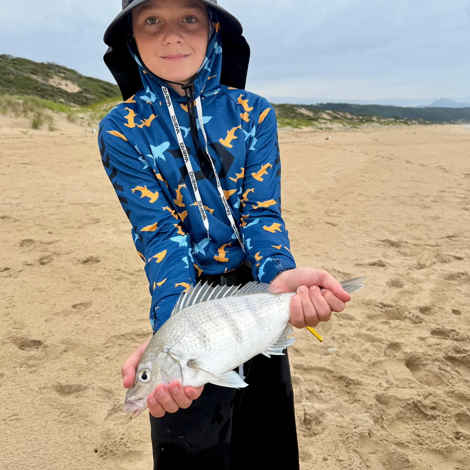 The most recent White steenbras catches on Fishbrain