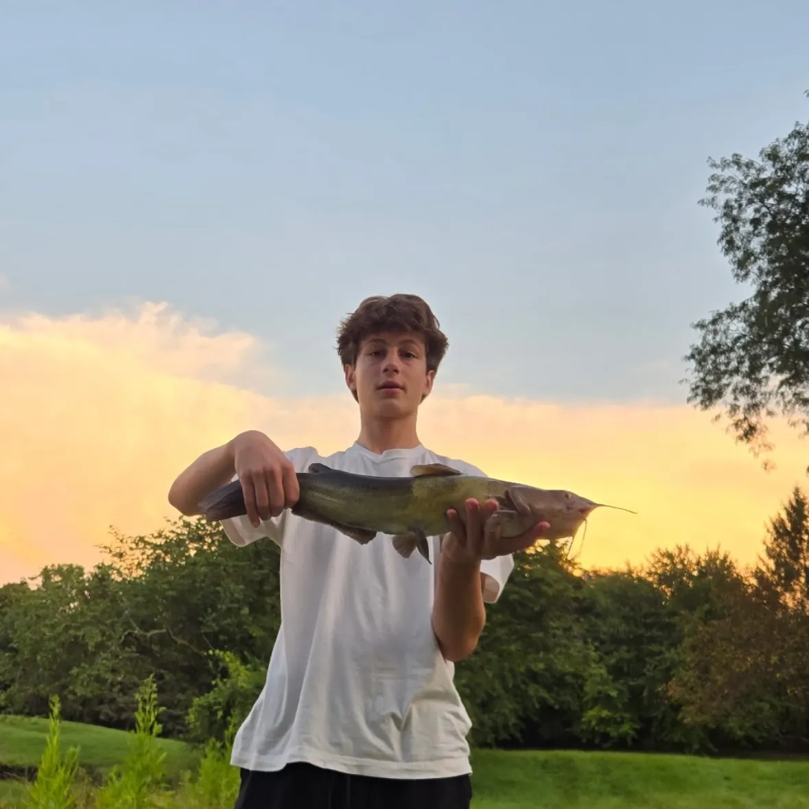 Channel catfish caught on Fishbrain
