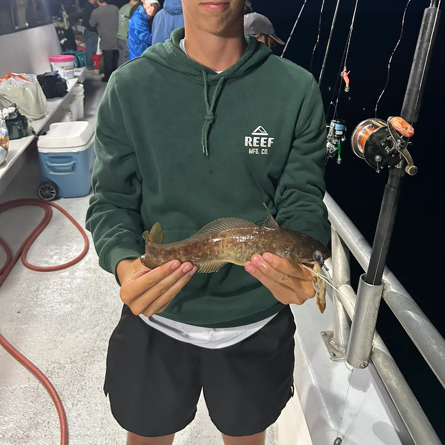 Lingcod caught on Fishbrain