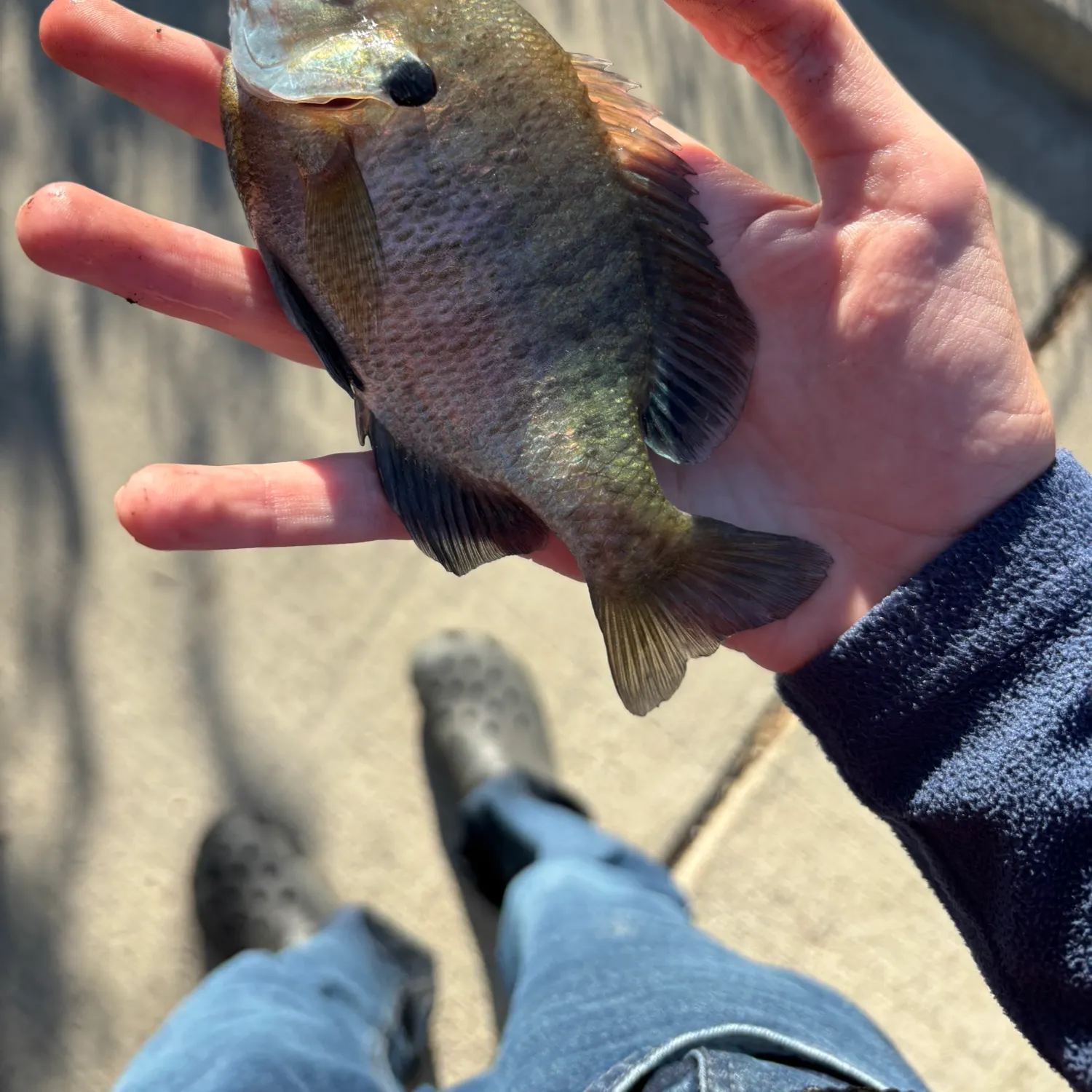 catch