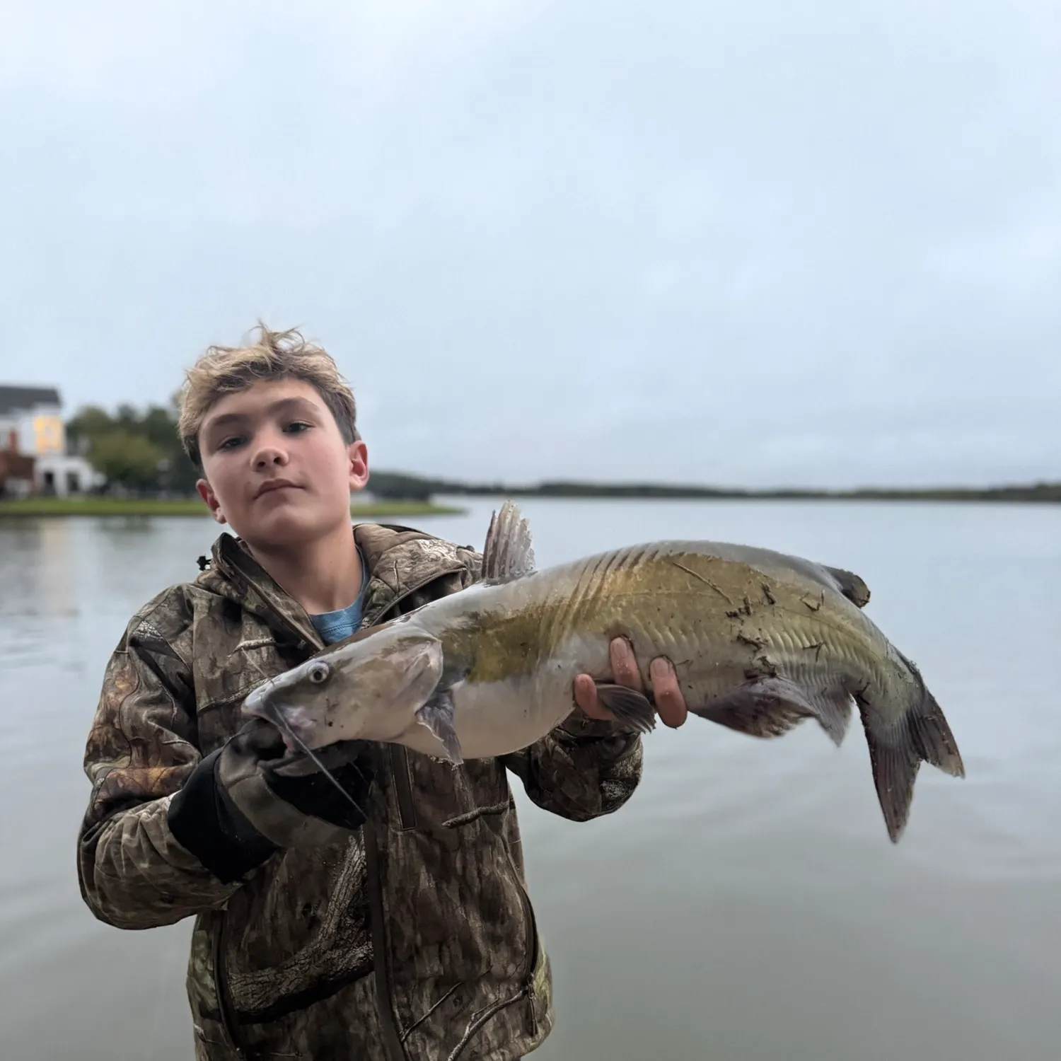 Channel catfish caught on Fishbrain