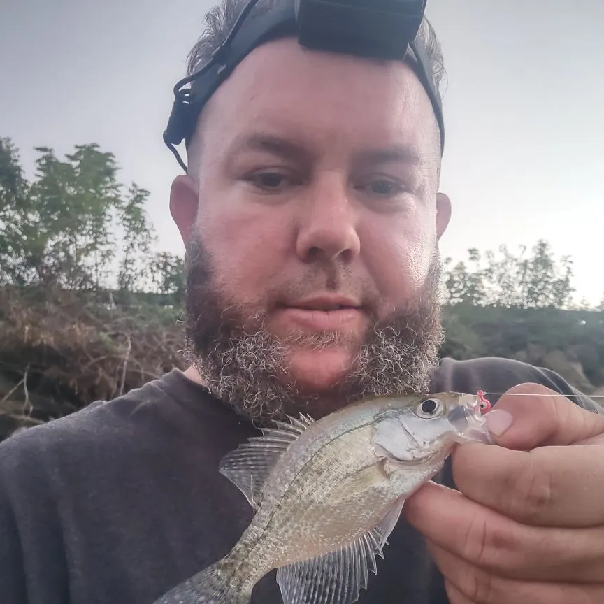Black crappie caught on Fishbrain