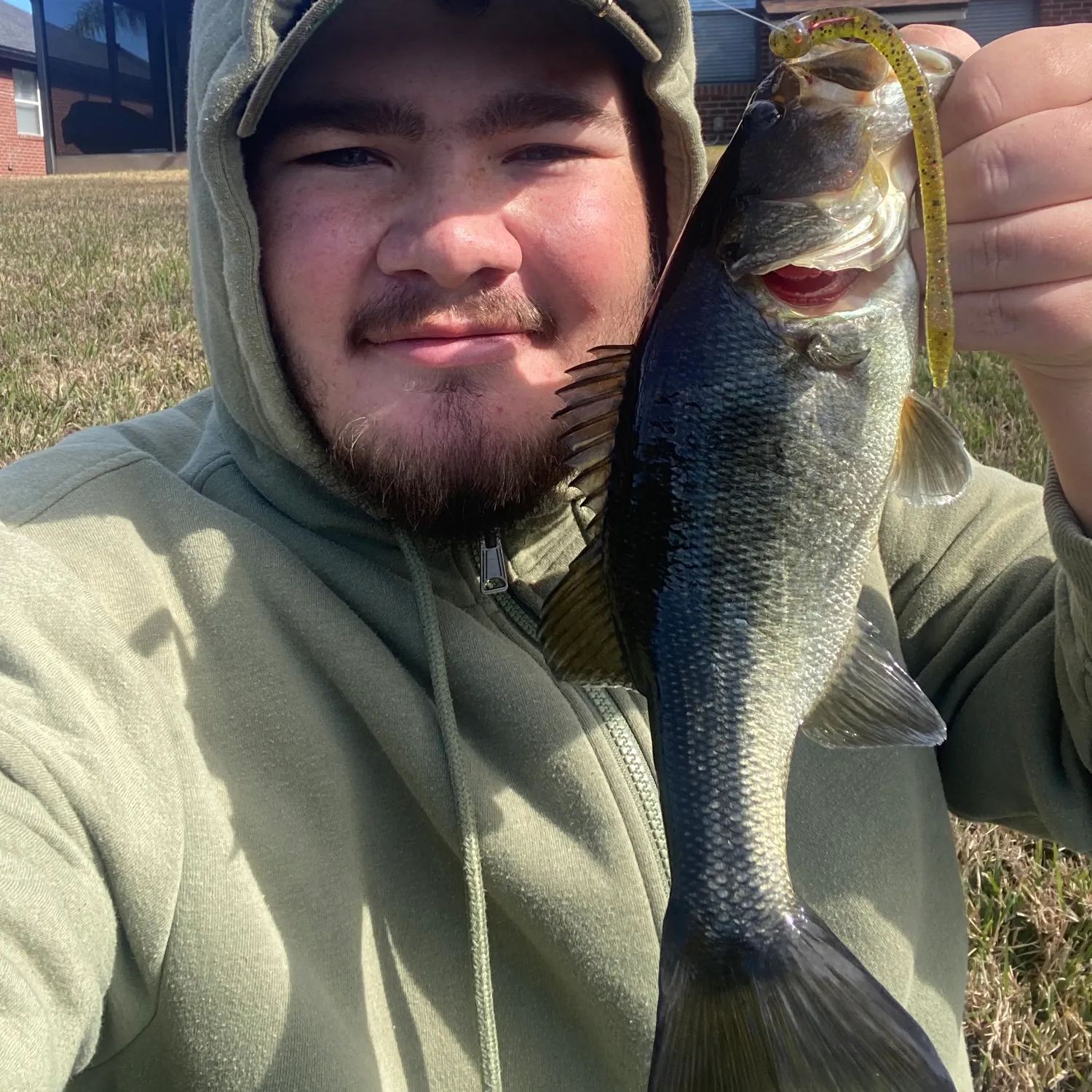 The most recent Florida bass catches on Fishbrain