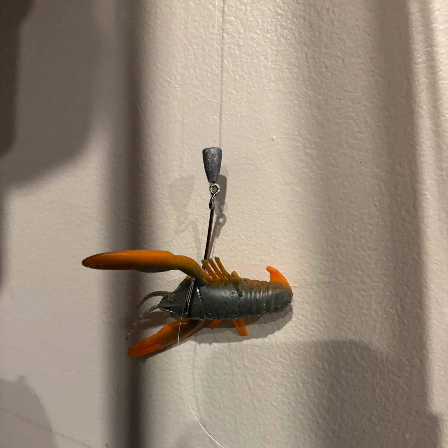 American eel caught on Fishbrain