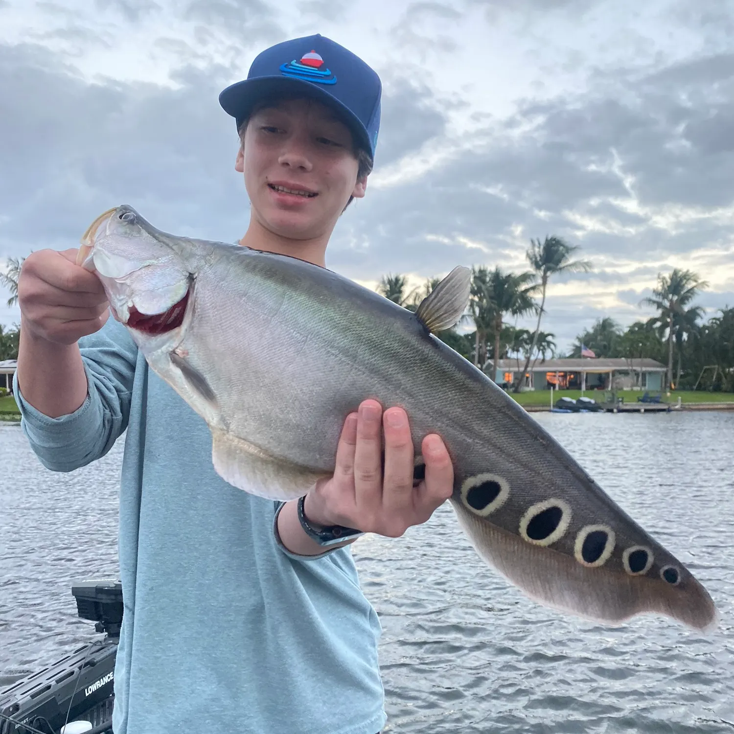 The most recent Clown knifefish catches on Fishbrain