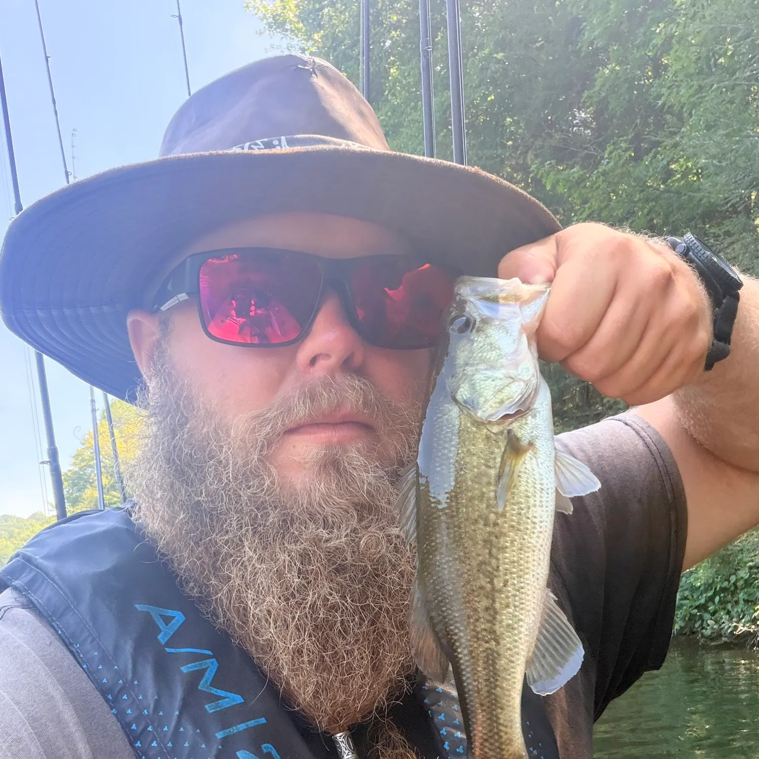 Largemouth bass caught on Fishbrain