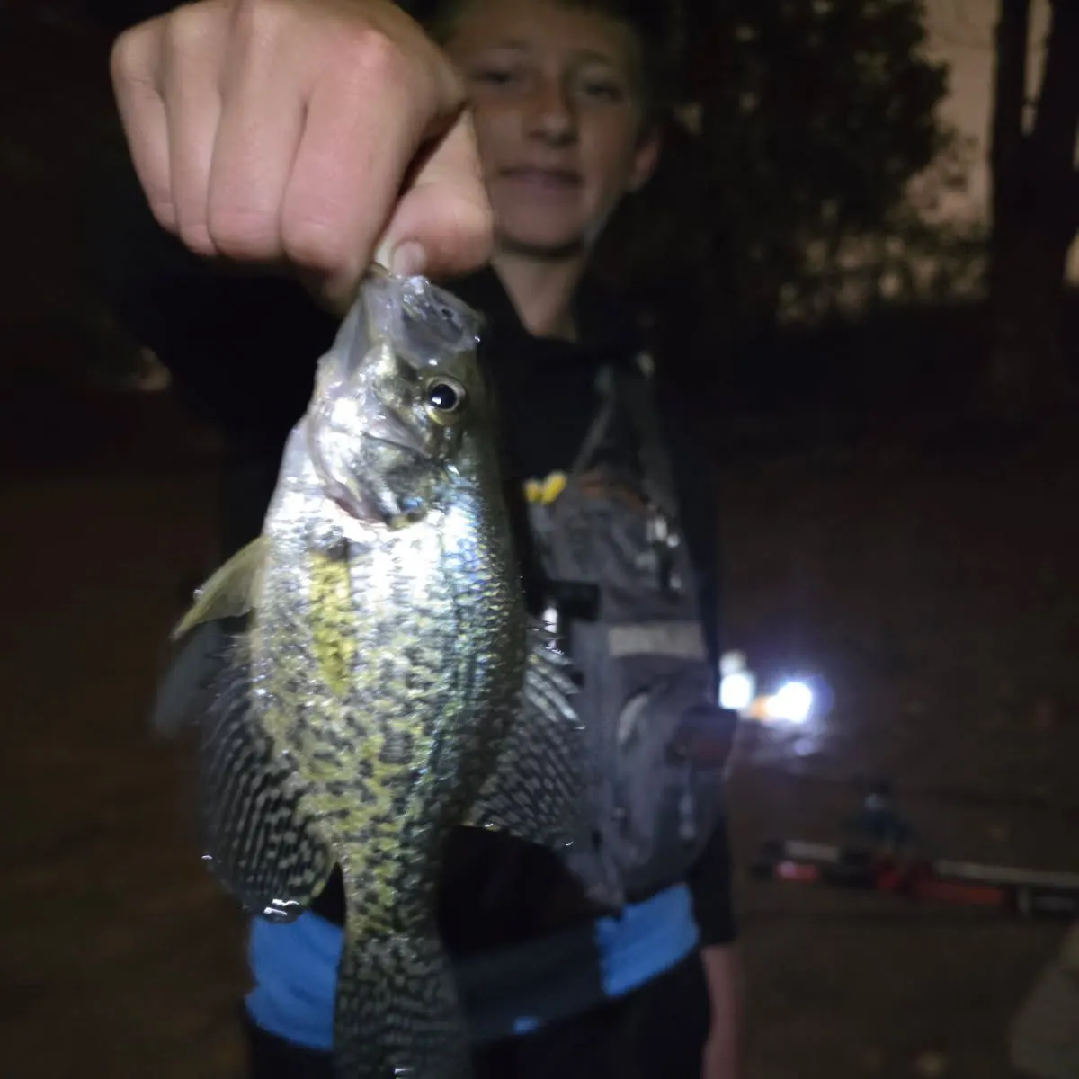 Black crappie caught on Fishbrain