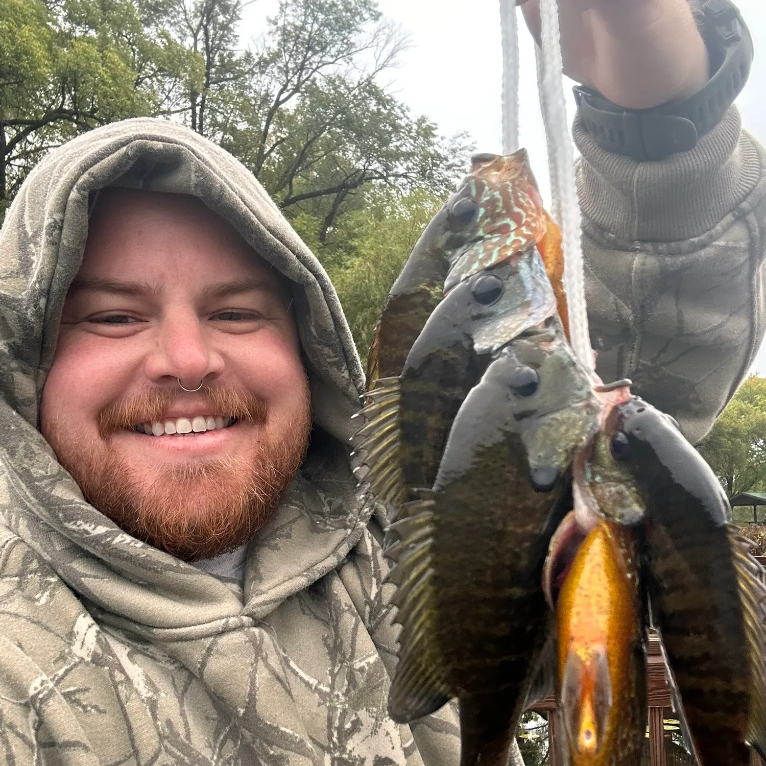 Bluegill caught on Fishbrain