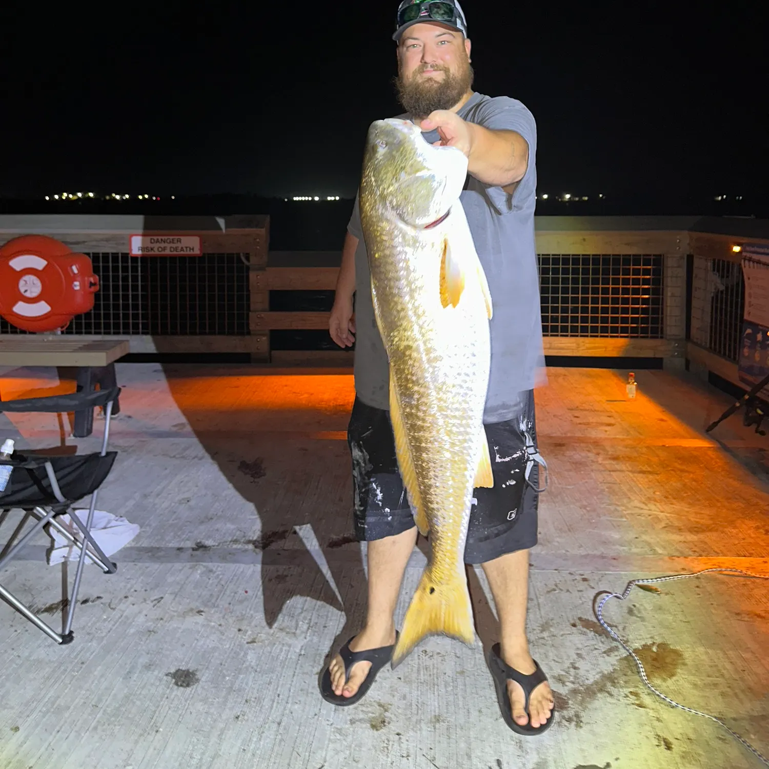 Red drum caught on Fishbrain