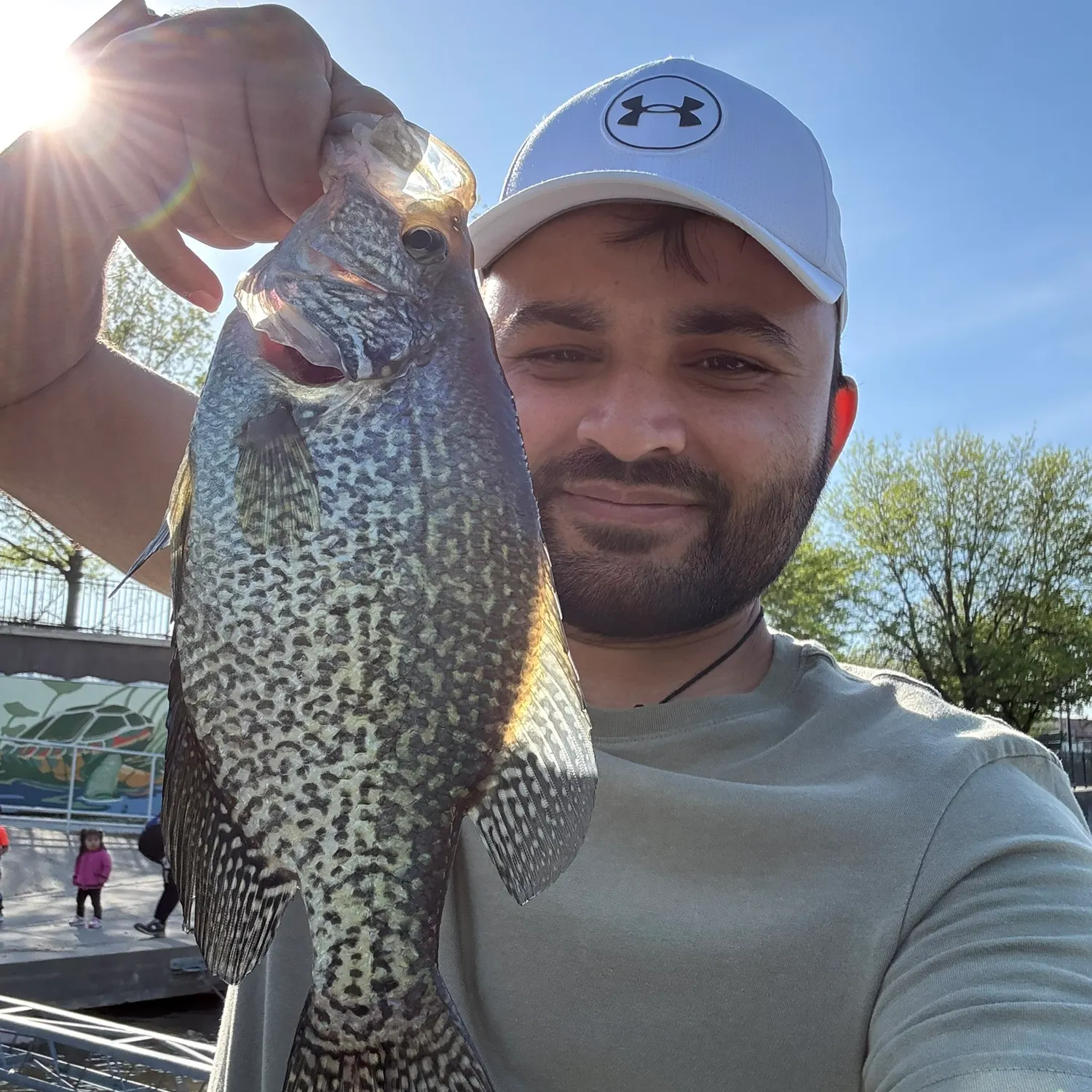 The most recent Black crappie catches on Fishbrain