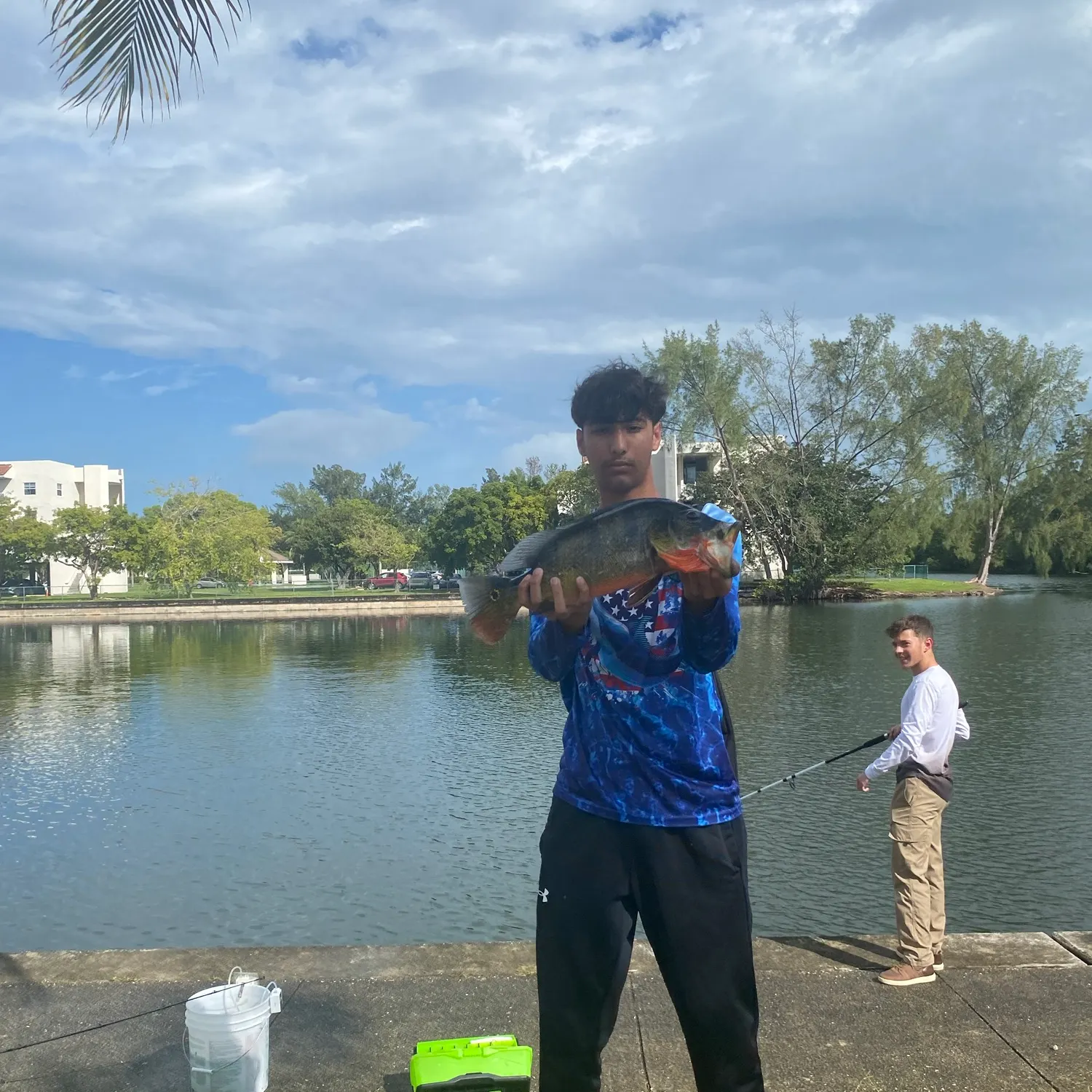 Butterfly peacock bass caught on Fishbrain