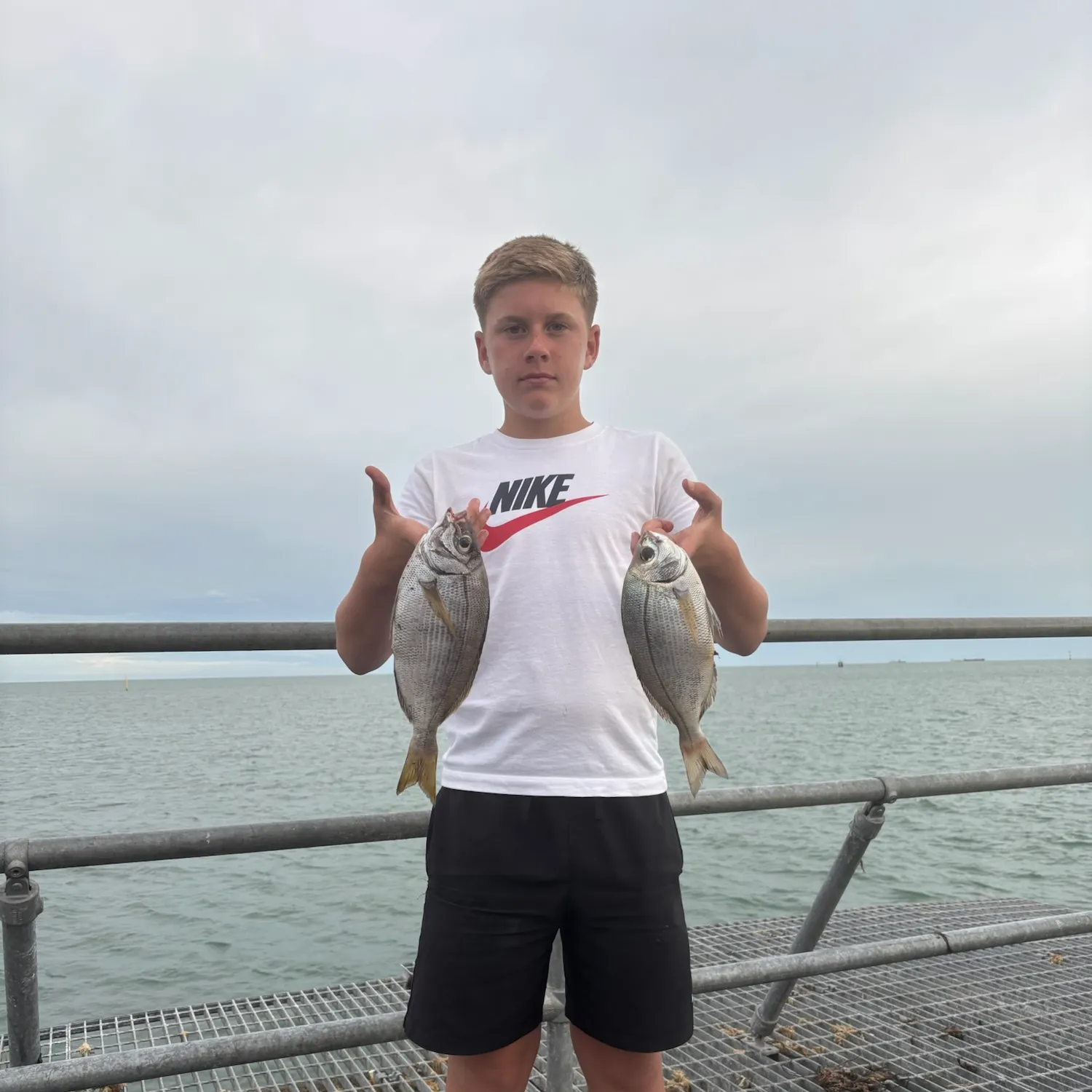The most recent Goldlined seabream catches on Fishbrain