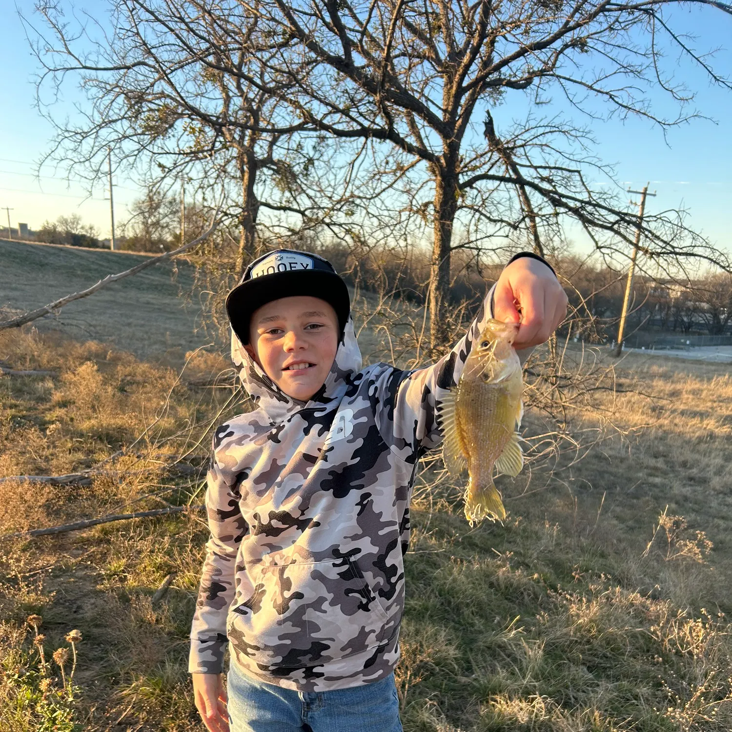 The most recent Green sunfish catches on Fishbrain