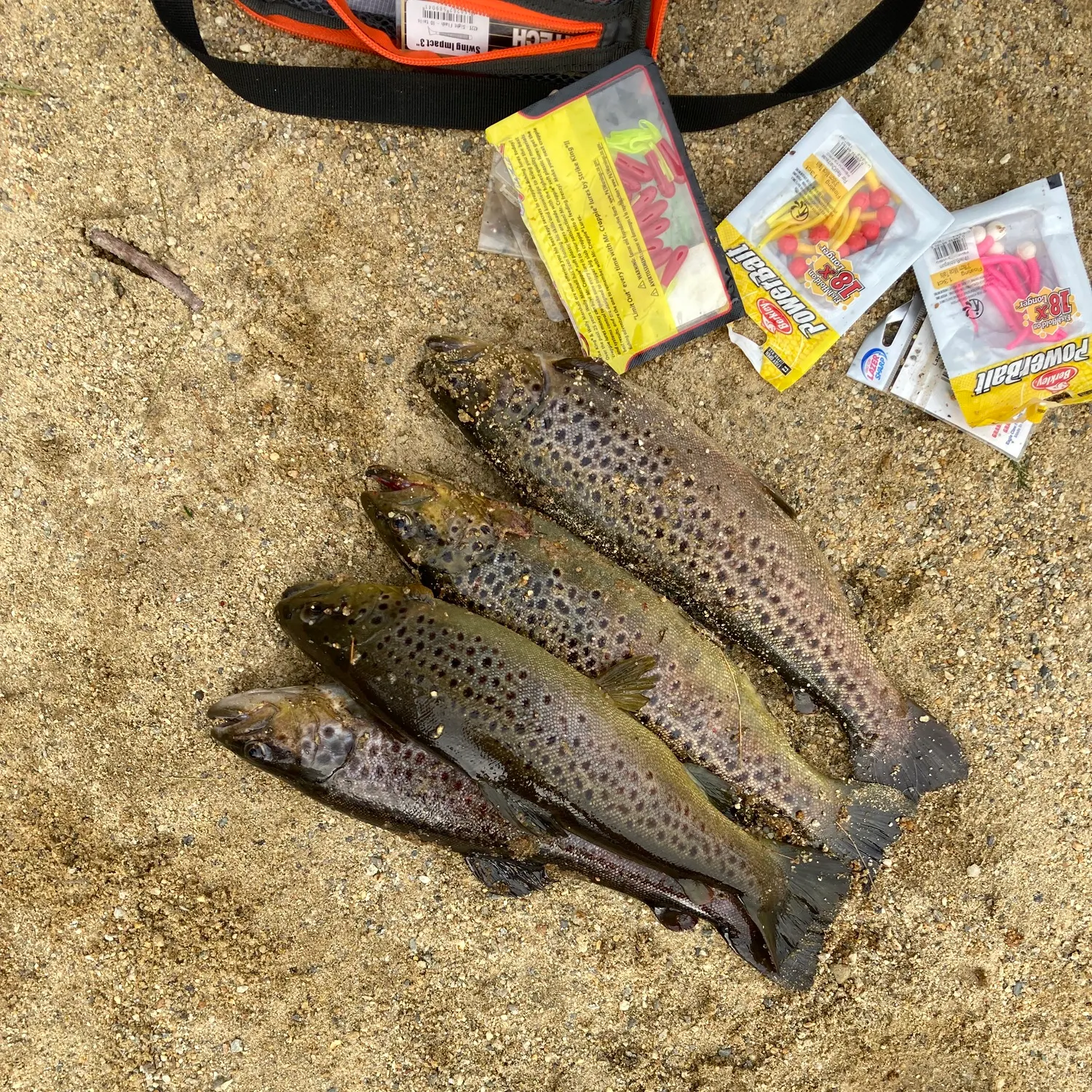 recently logged catches