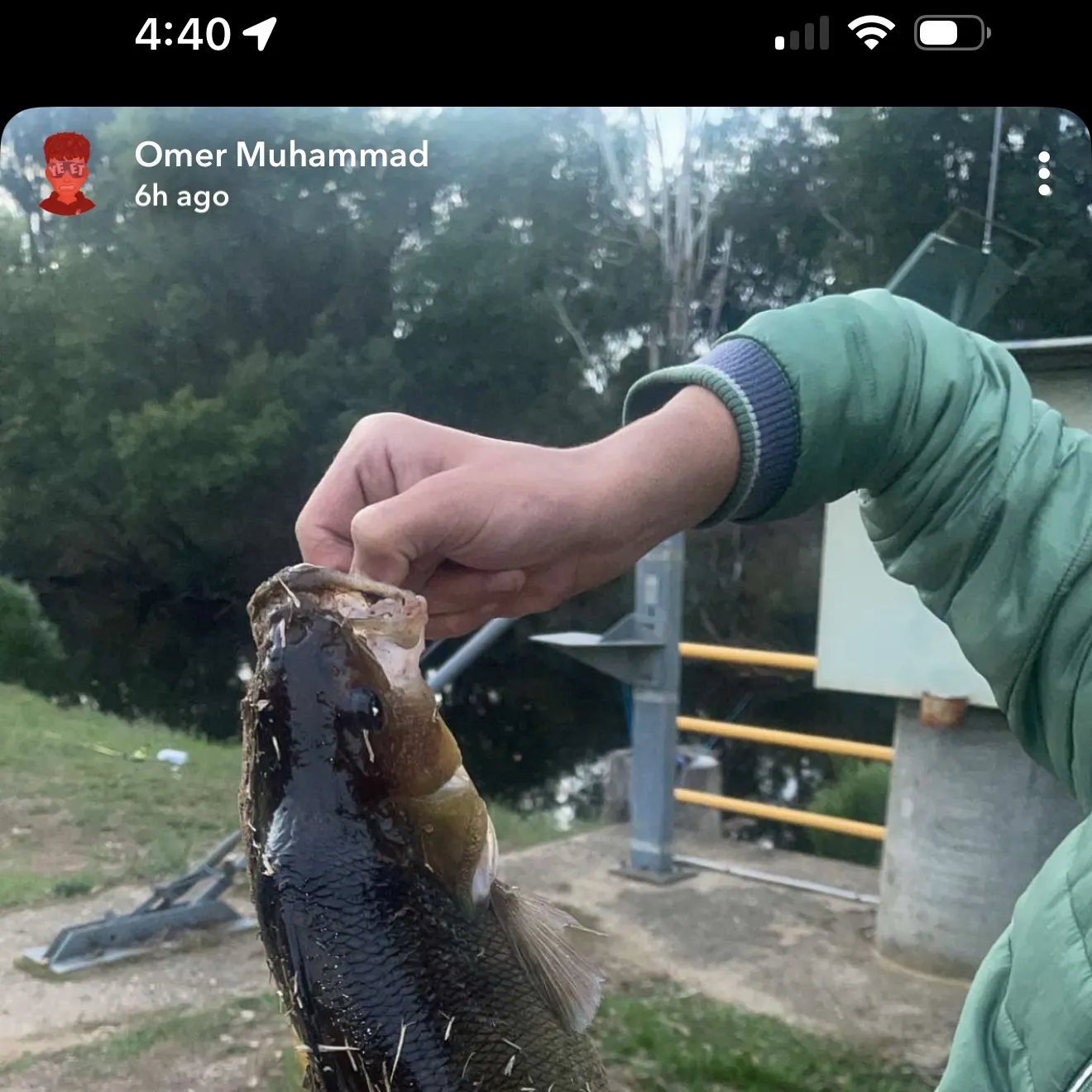 recently logged catches