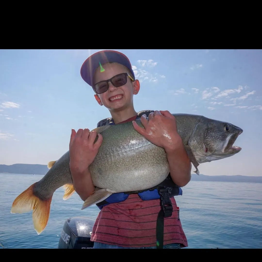 Lake char caught on Fishbrain
