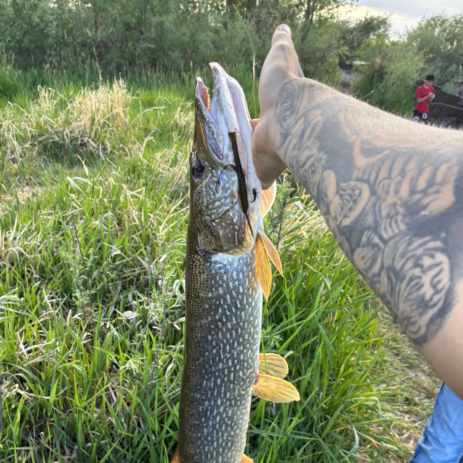 catch