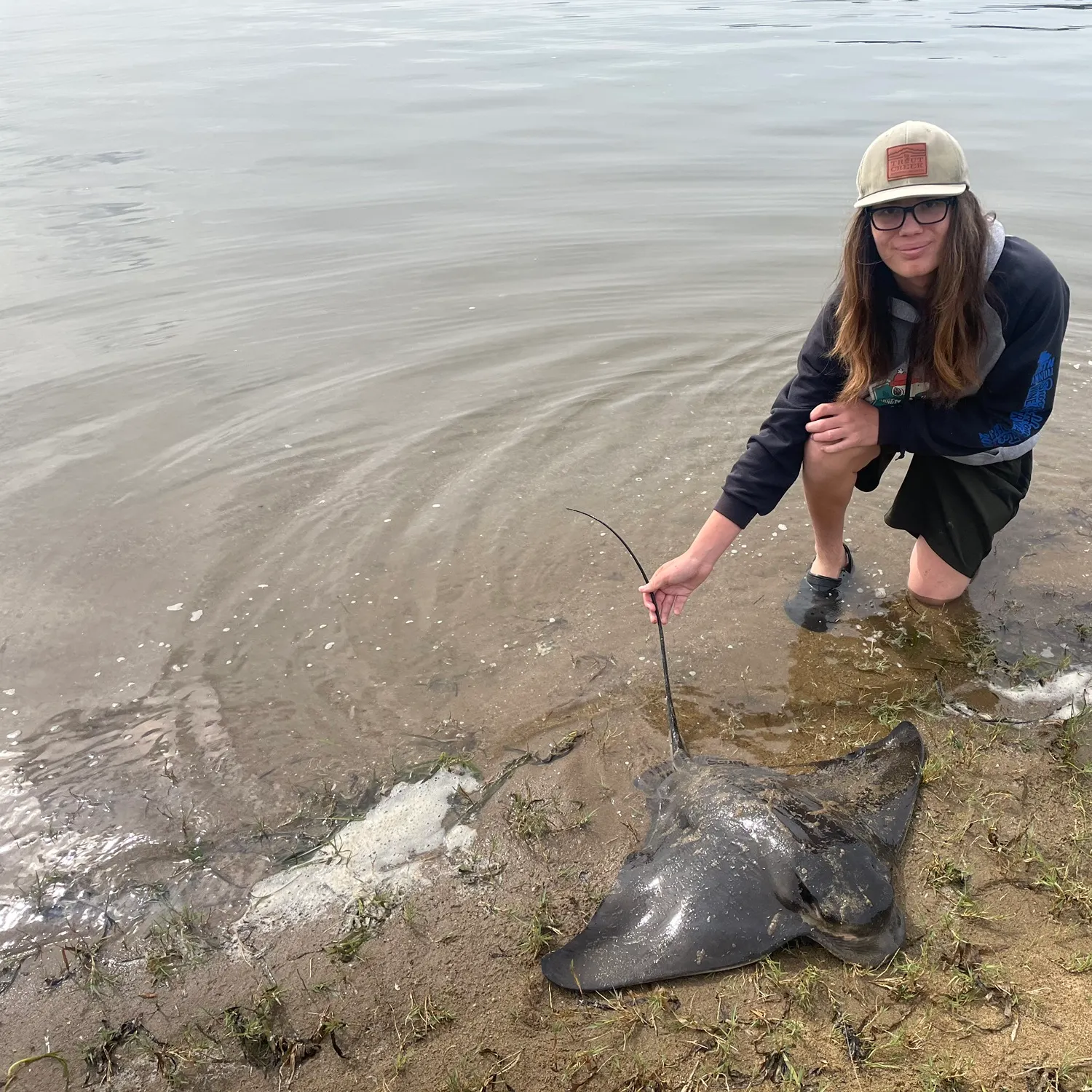 The most recent Bat eagle ray catches on Fishbrain