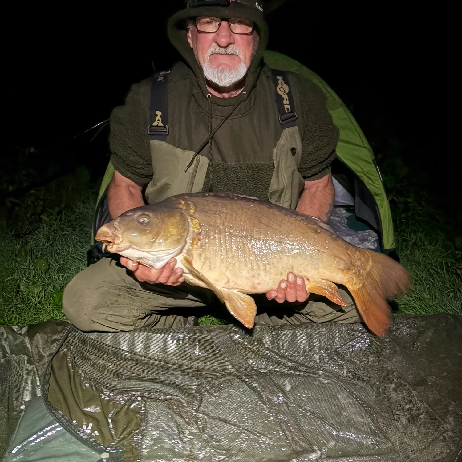 Mirror carp caught on Fishbrain