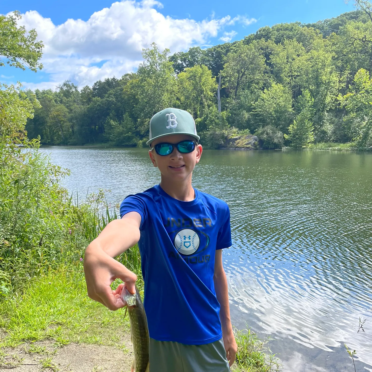 Chain pickerel caught on Fishbrain