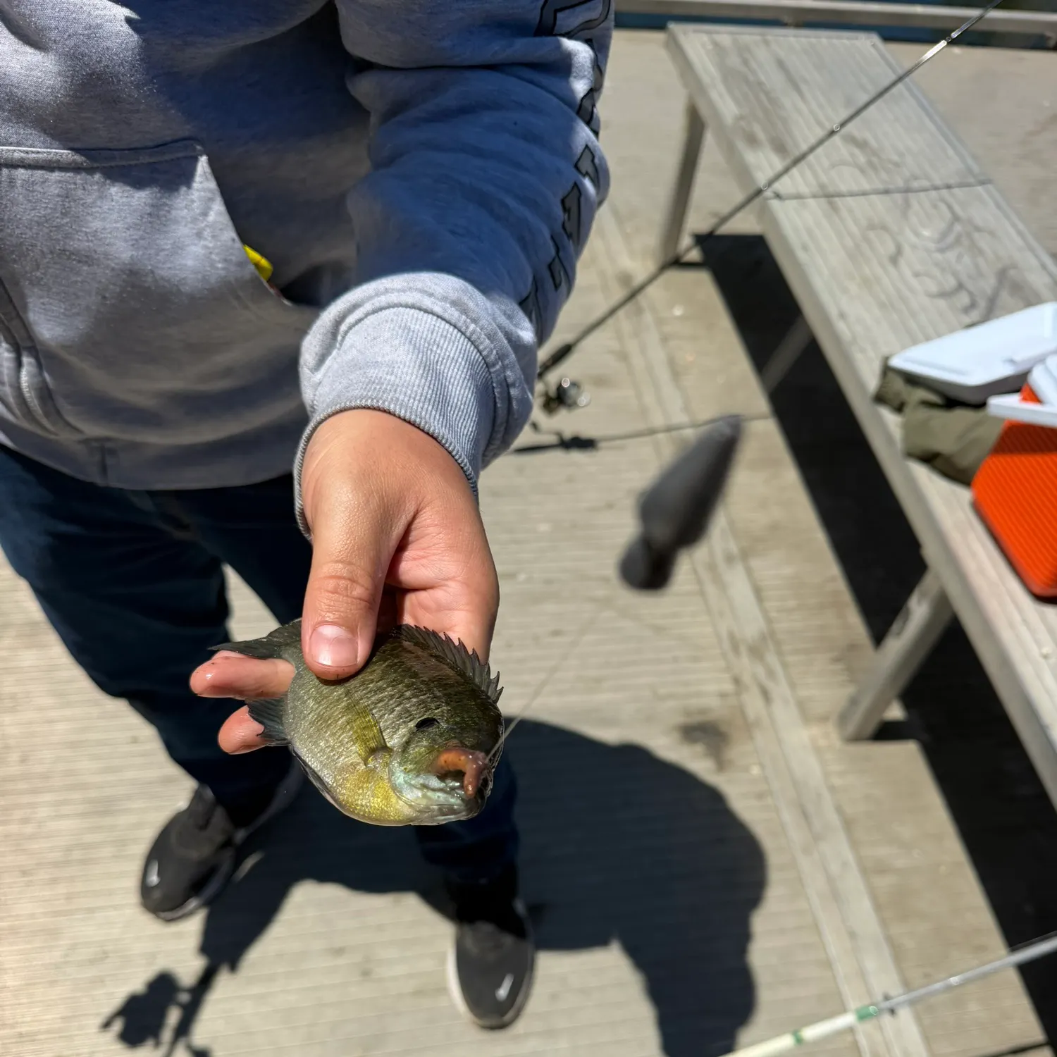 catch