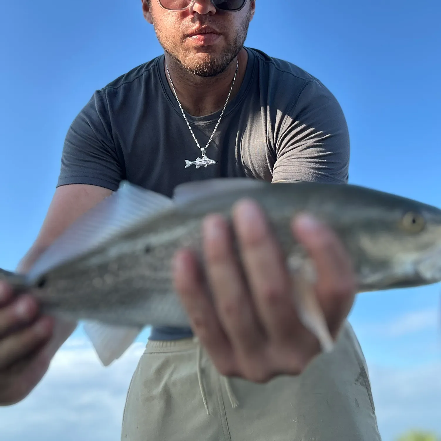 The most recent Northern kingcroaker catches on Fishbrain