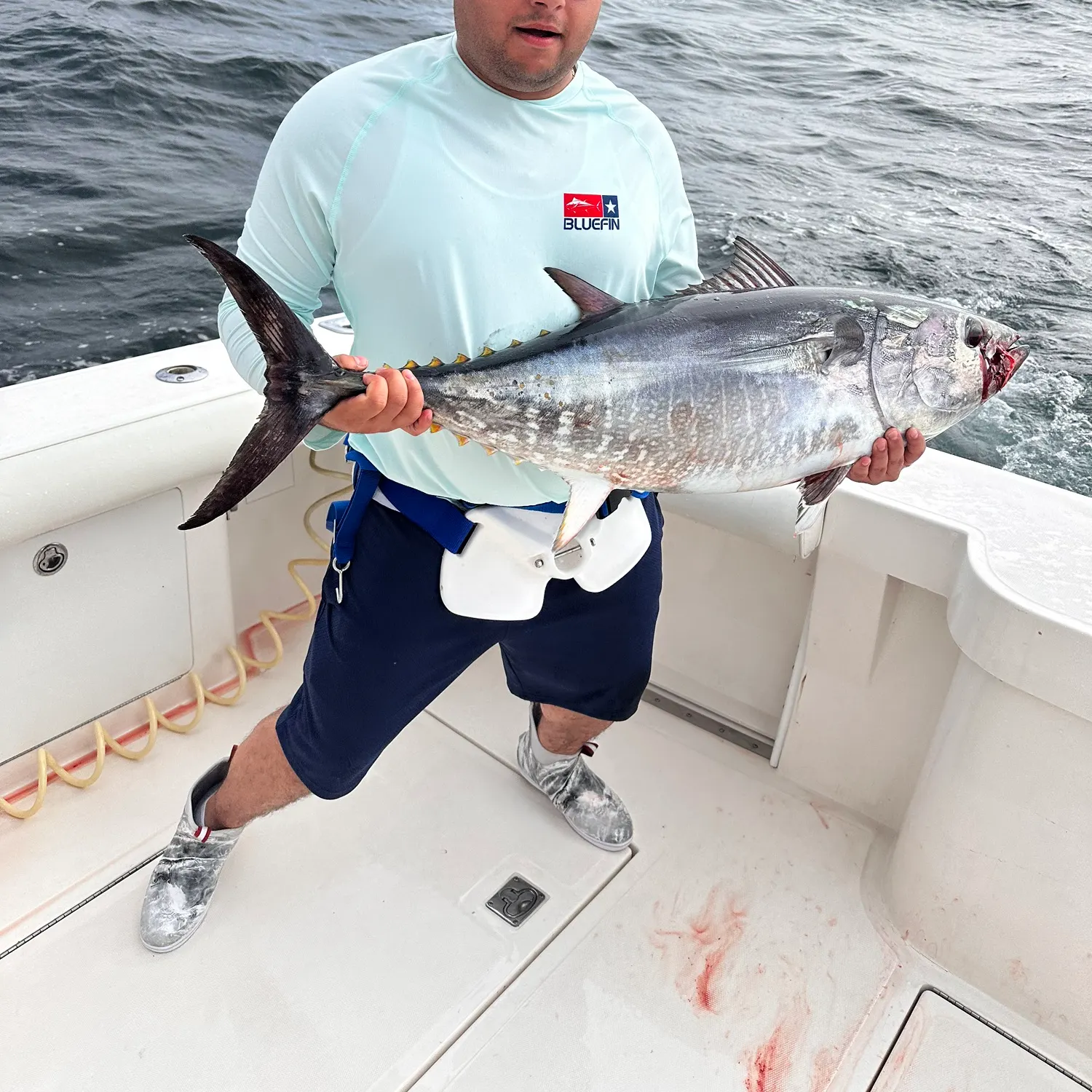 The most recent Atlantic bluefin tuna catches on Fishbrain