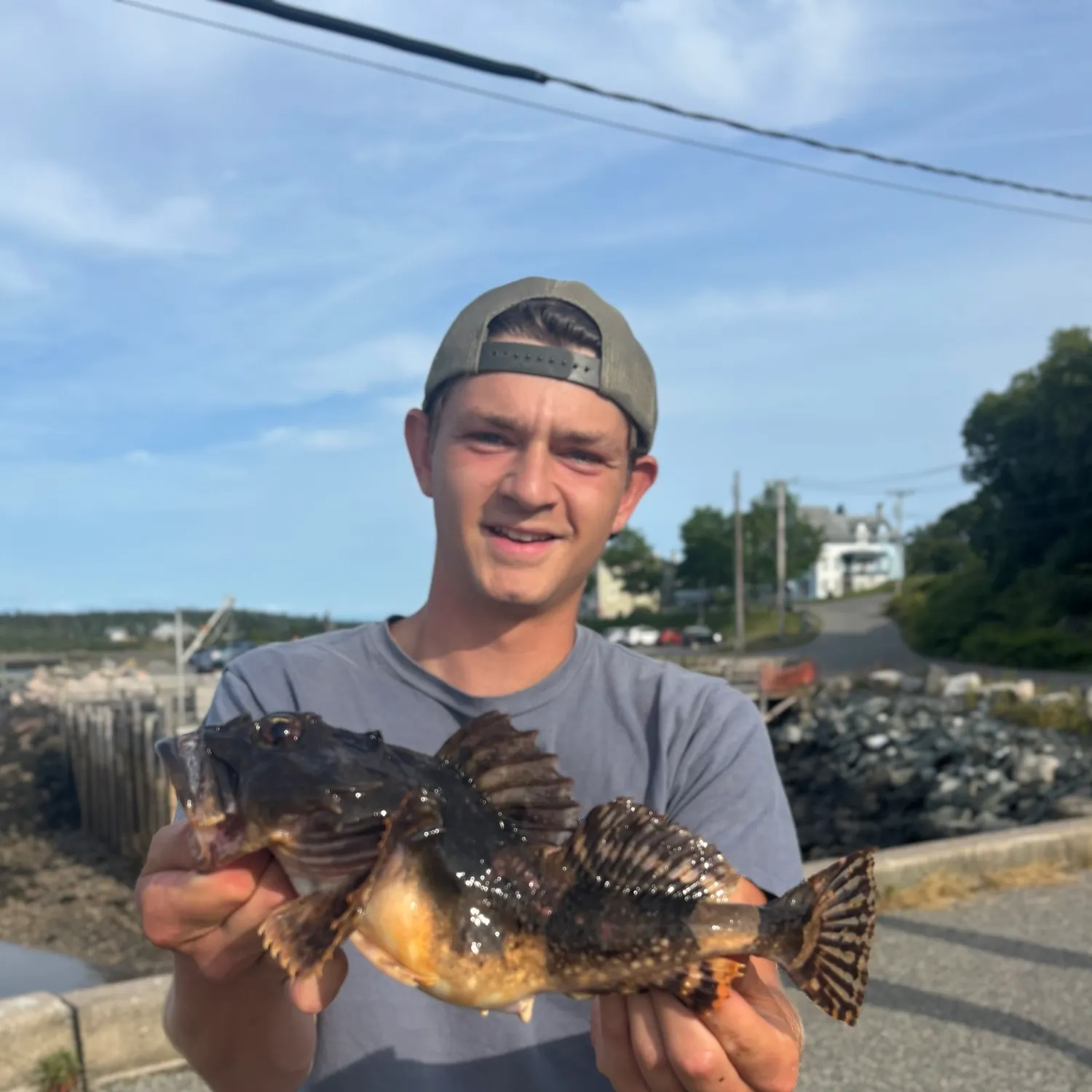 The most recent Shorthorn sculpin catches on Fishbrain