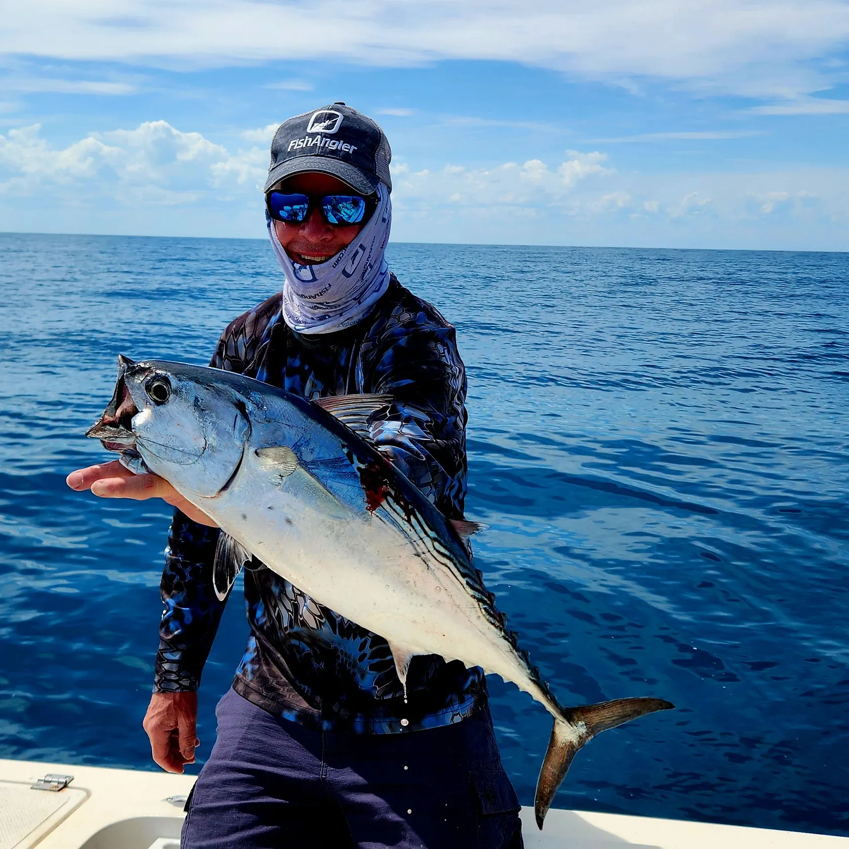 The most recent Plain bonito catches on Fishbrain