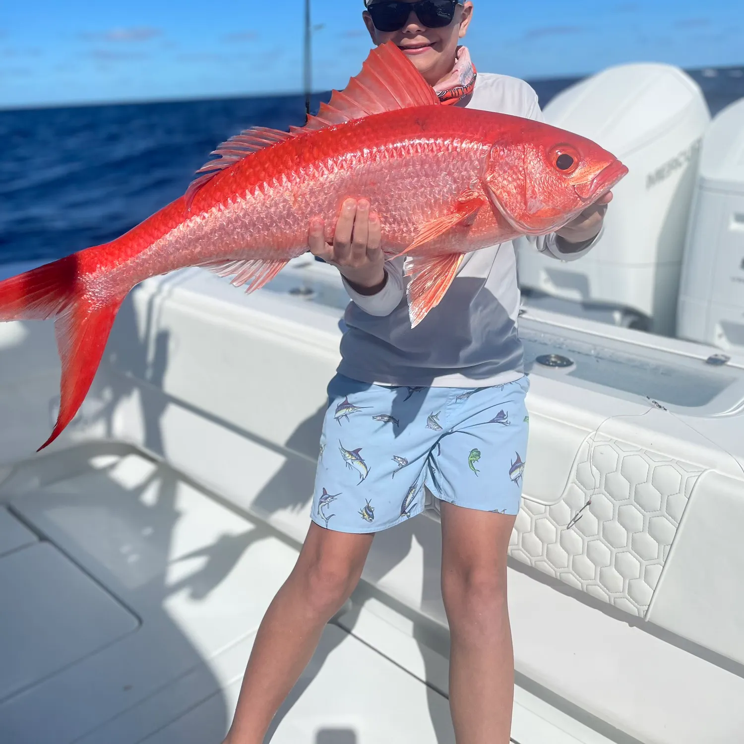 The most recent Queen Snapper catches on Fishbrain