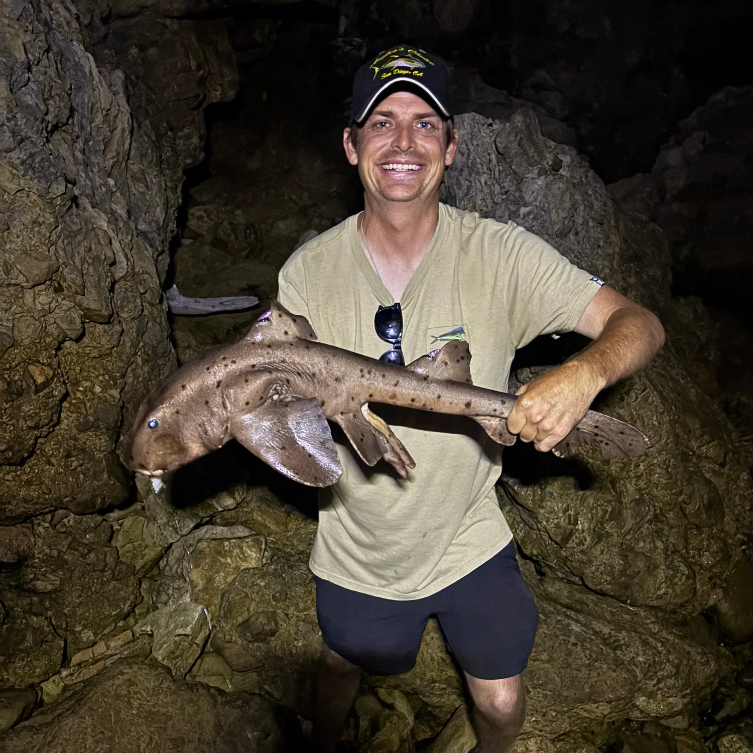 The most recent Horn shark catches on Fishbrain
