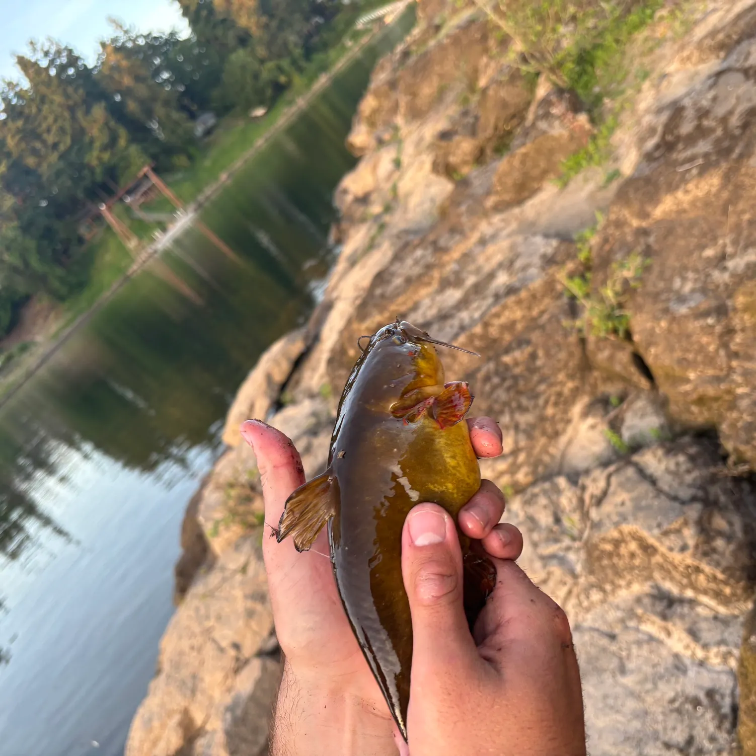 catch
