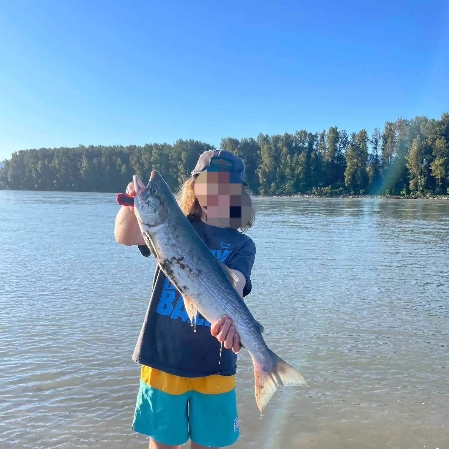 The most recent Sockeye salmon catches on Fishbrain