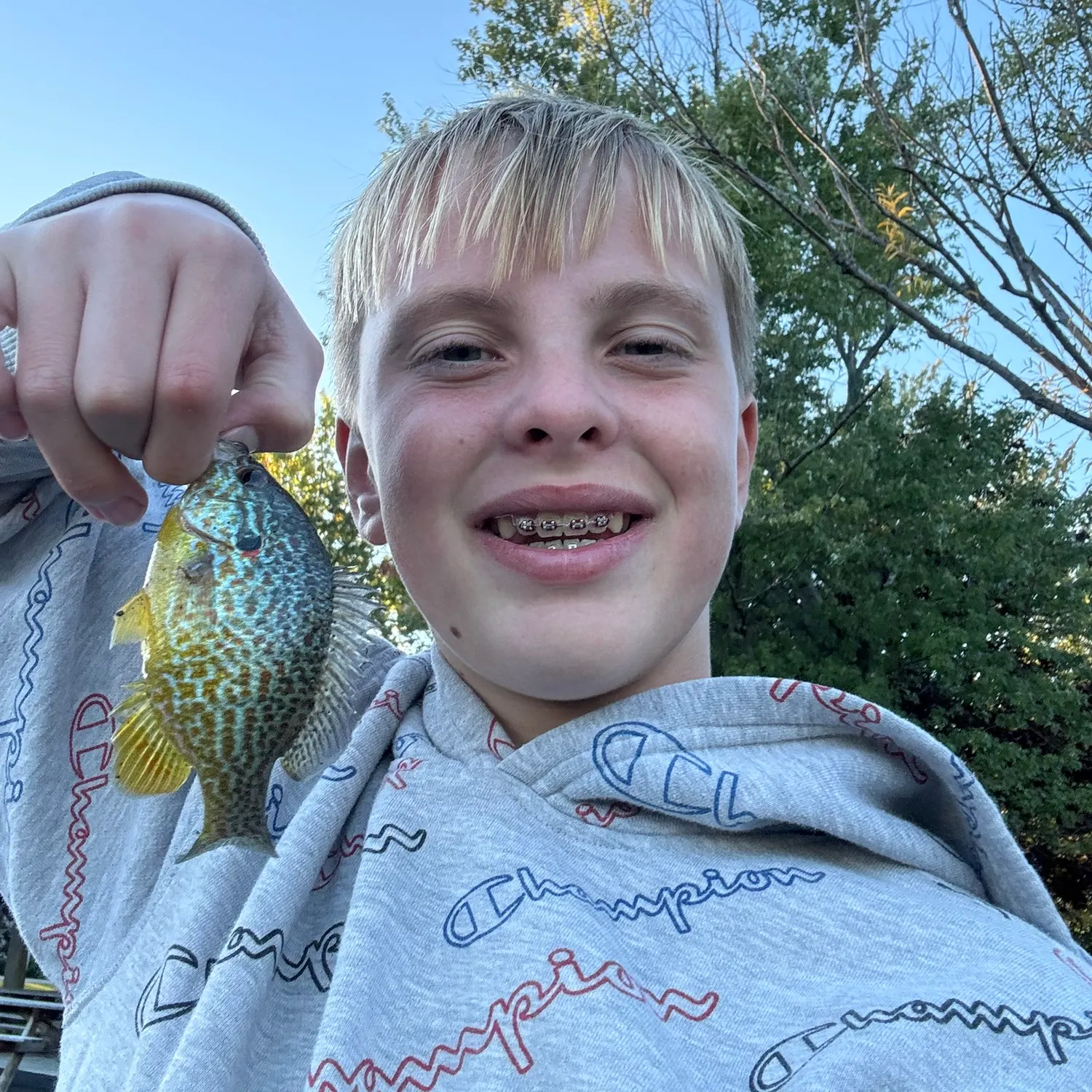 Pumpkinseed caught on Fishbrain