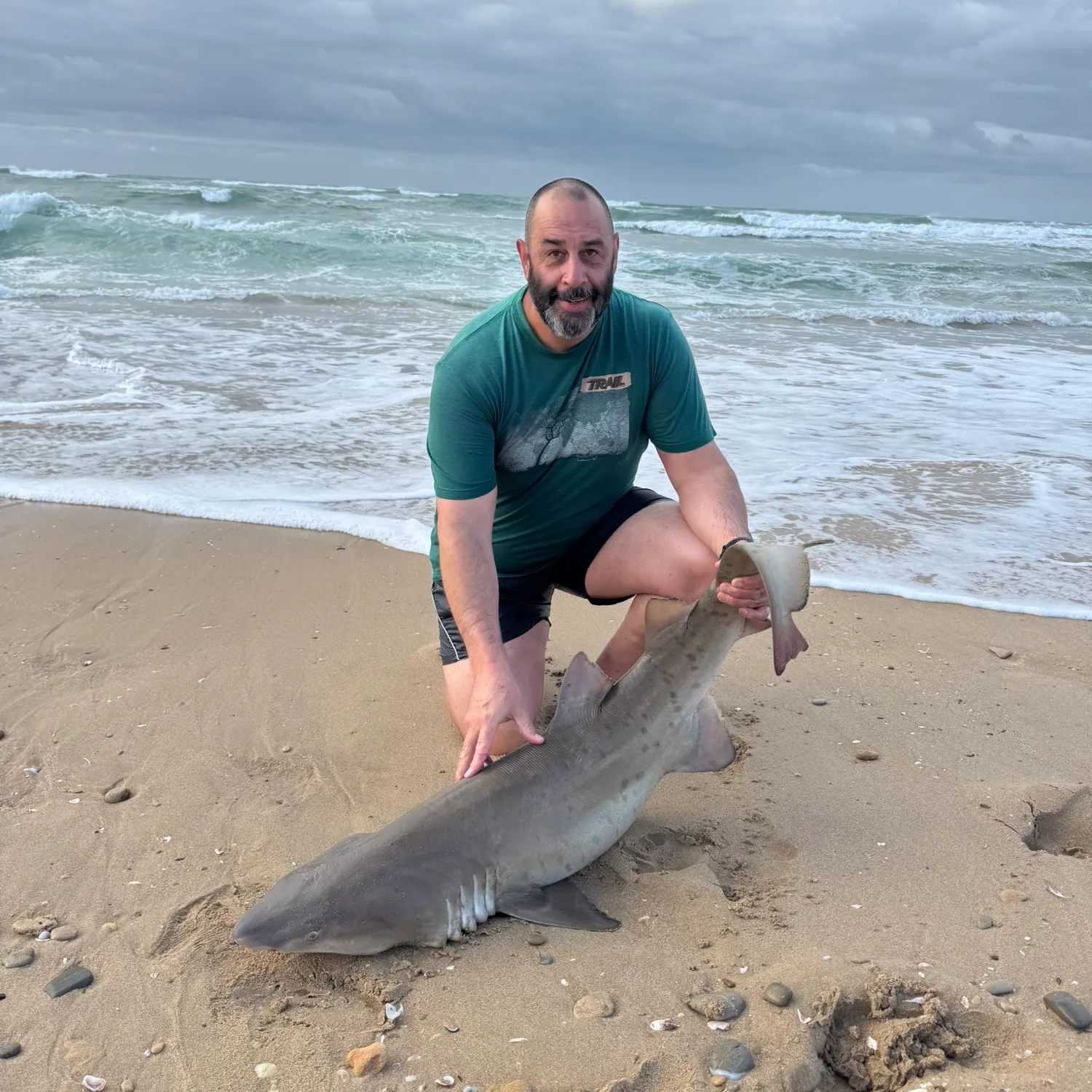 The most recent Sand tiger shark catches on Fishbrain