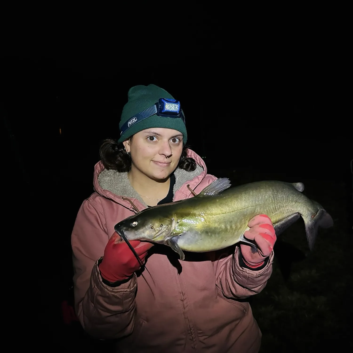 Channel catfish caught on Fishbrain