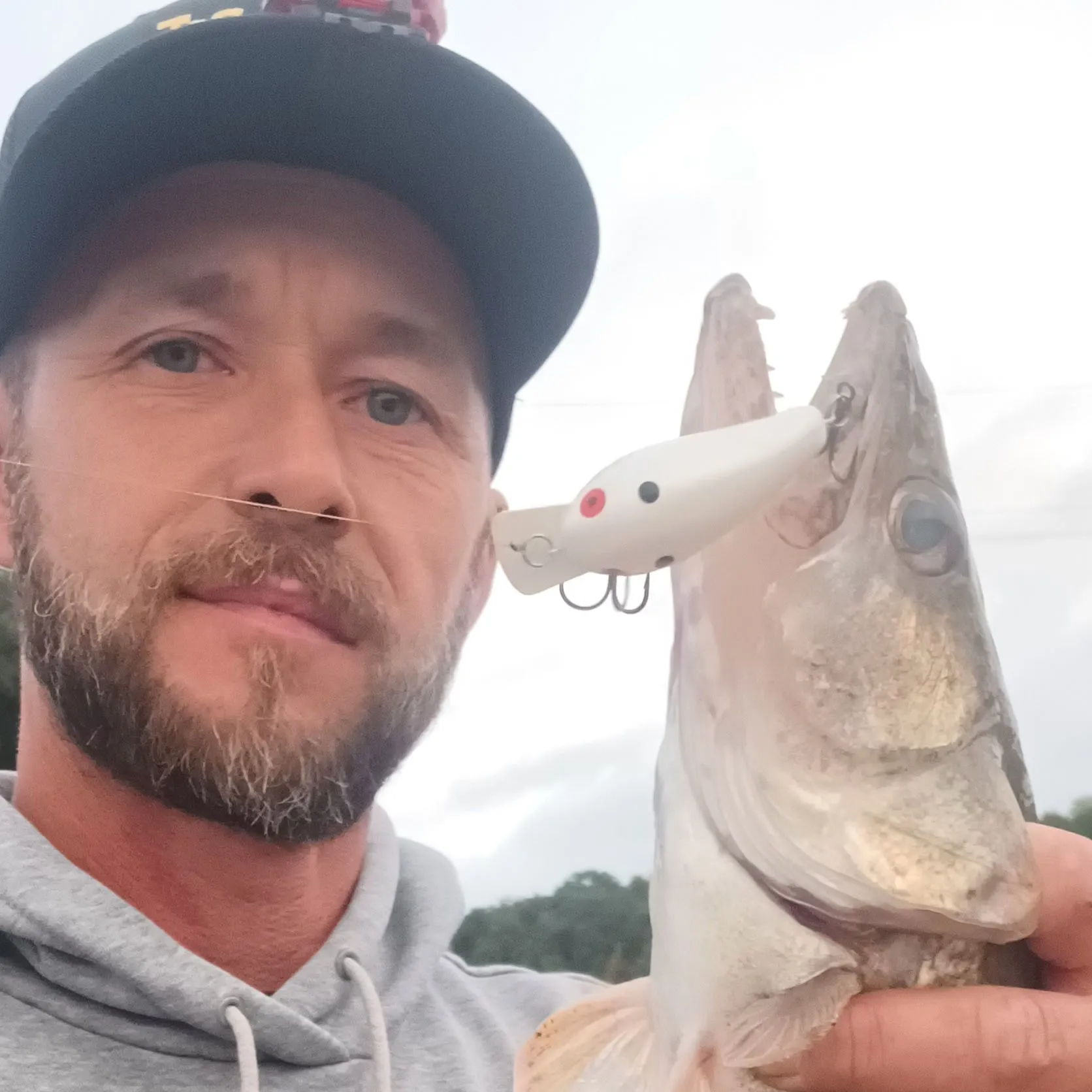 Walleye caught on Fishbrain