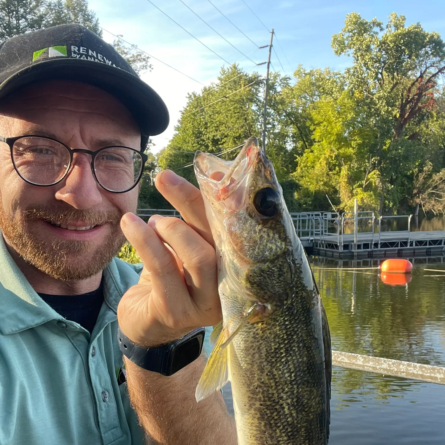 Walleye caught on Fishbrain