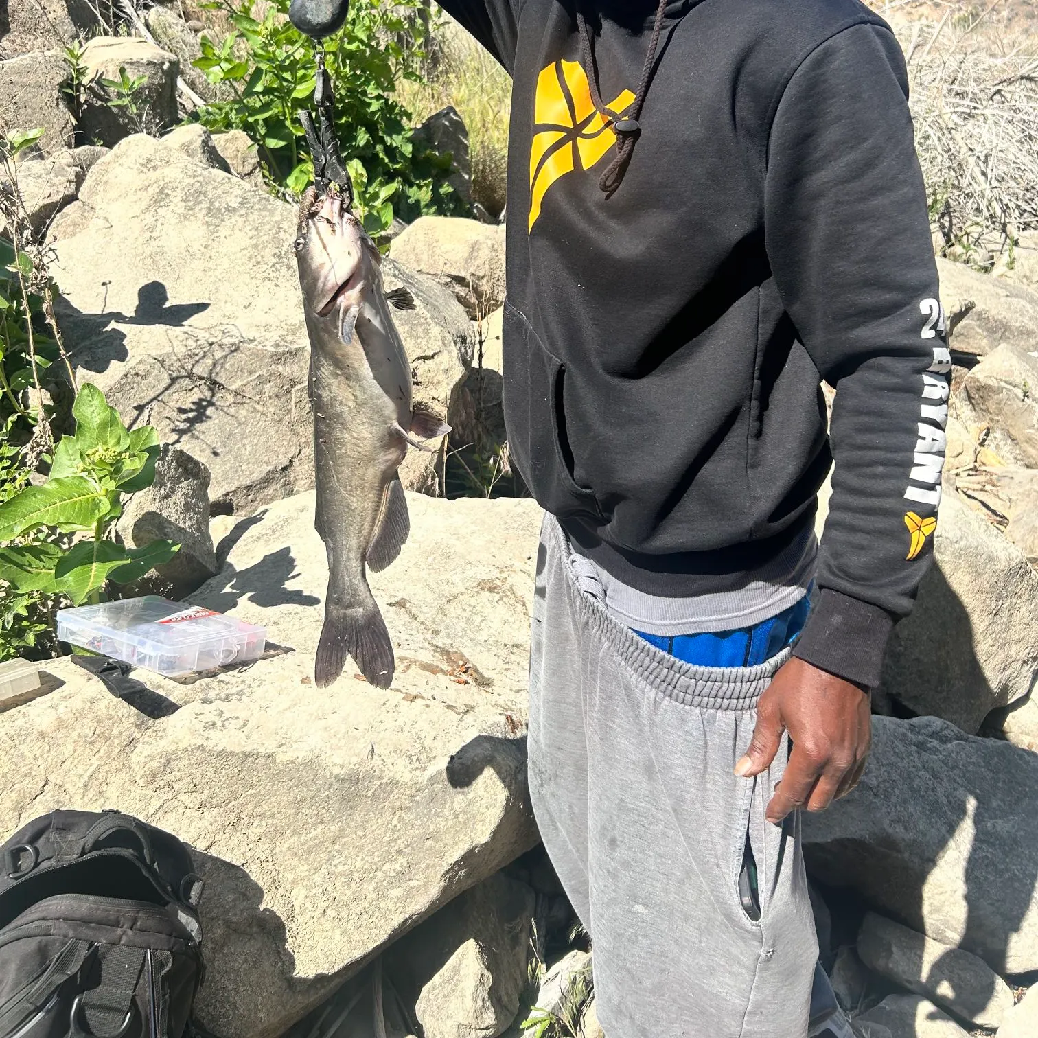 catch