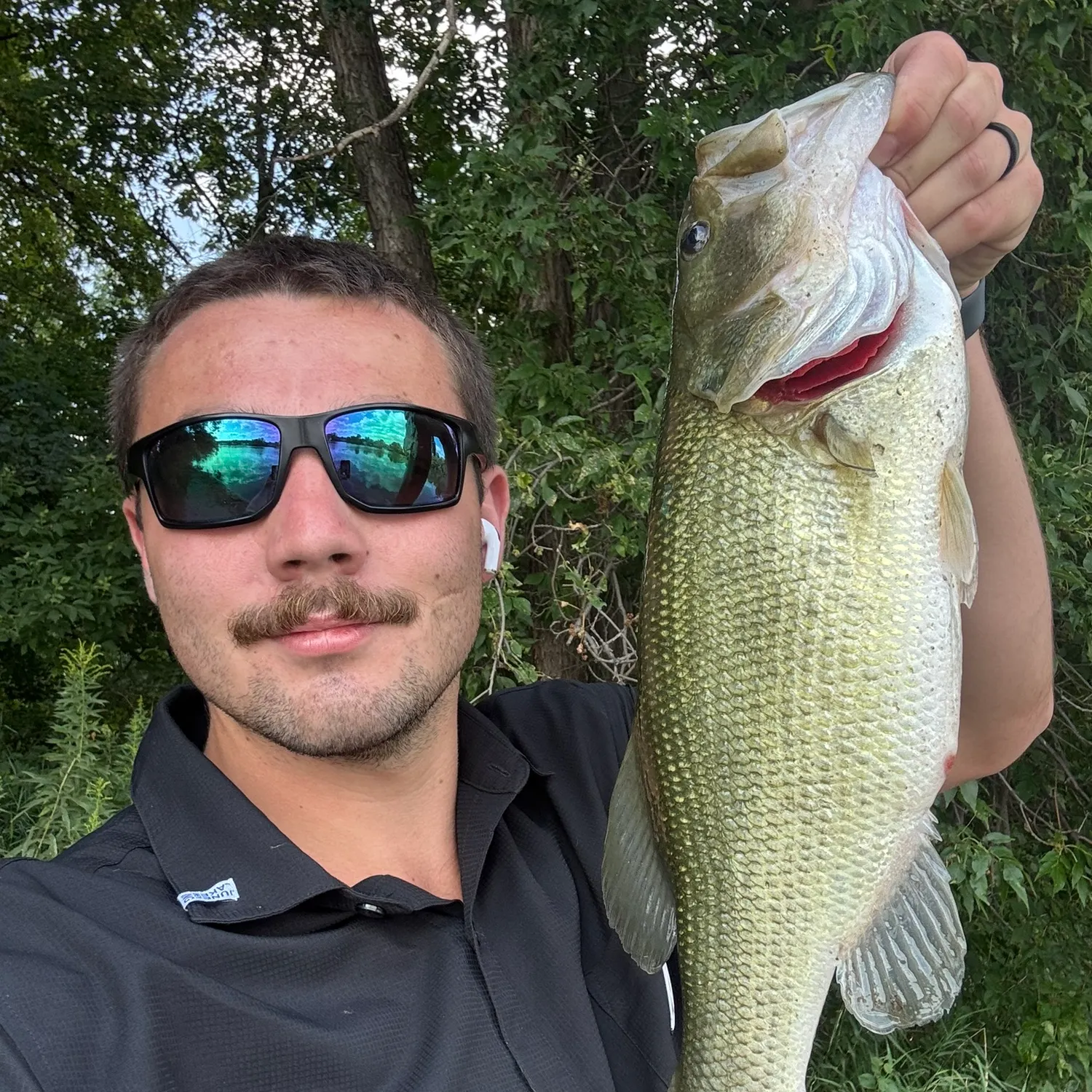 Largemouth bass caught on Fishbrain
