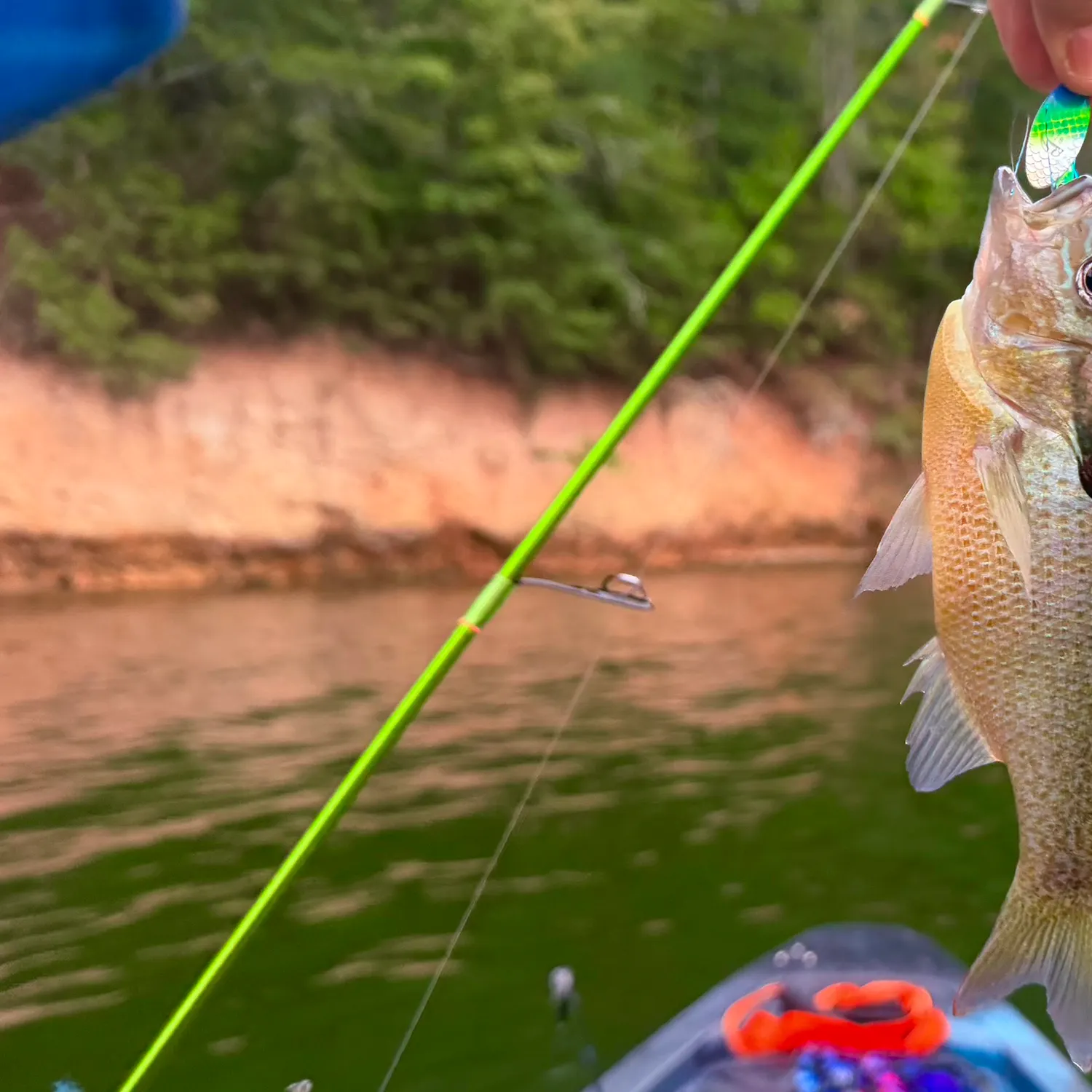 Redbreast sunfish caught on Fishbrain