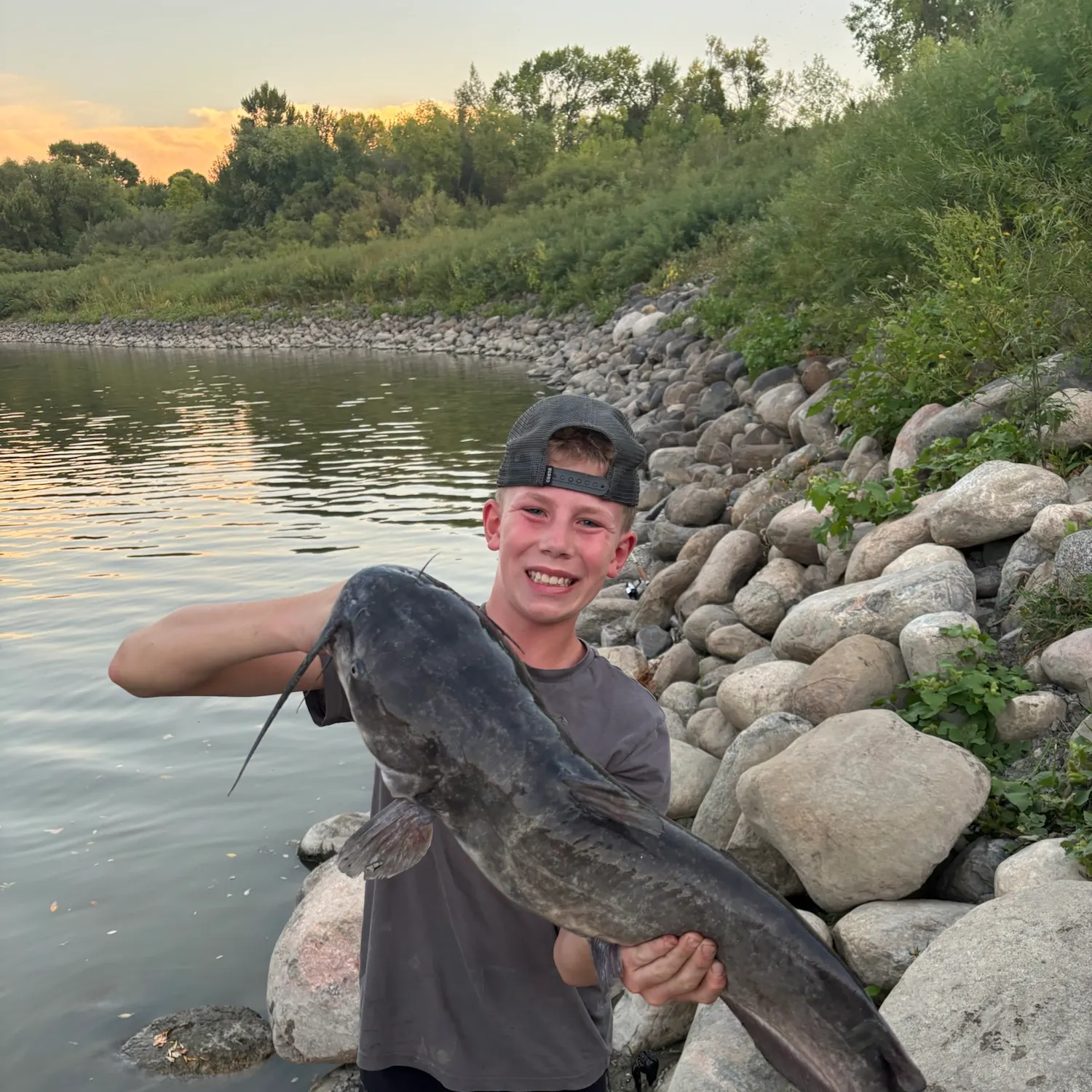 Channel catfish caught on Fishbrain