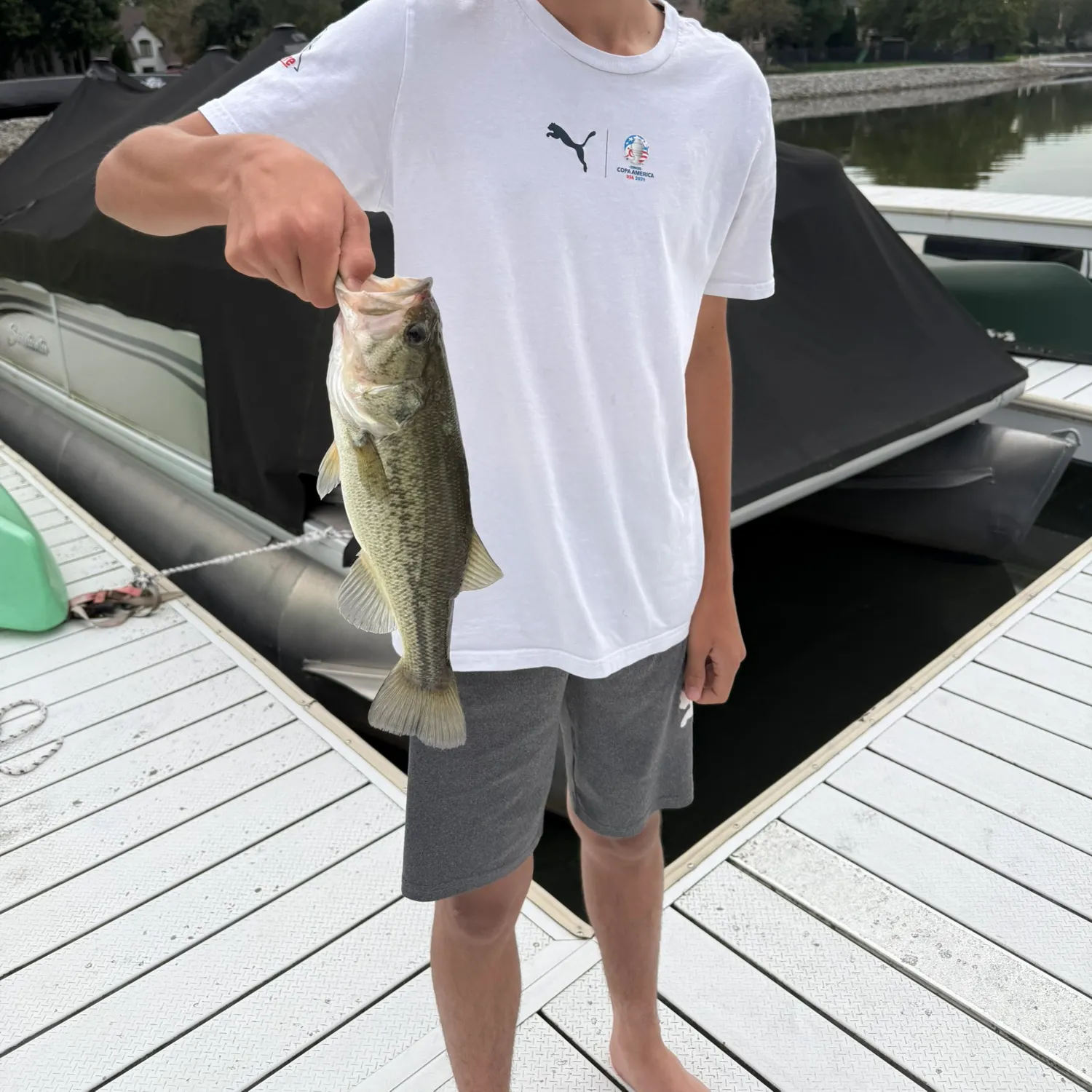 Largemouth bass caught on Fishbrain