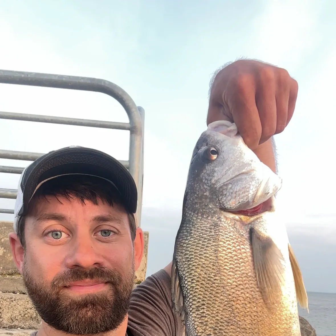 The most recent Freshwater drum catches on Fishbrain
